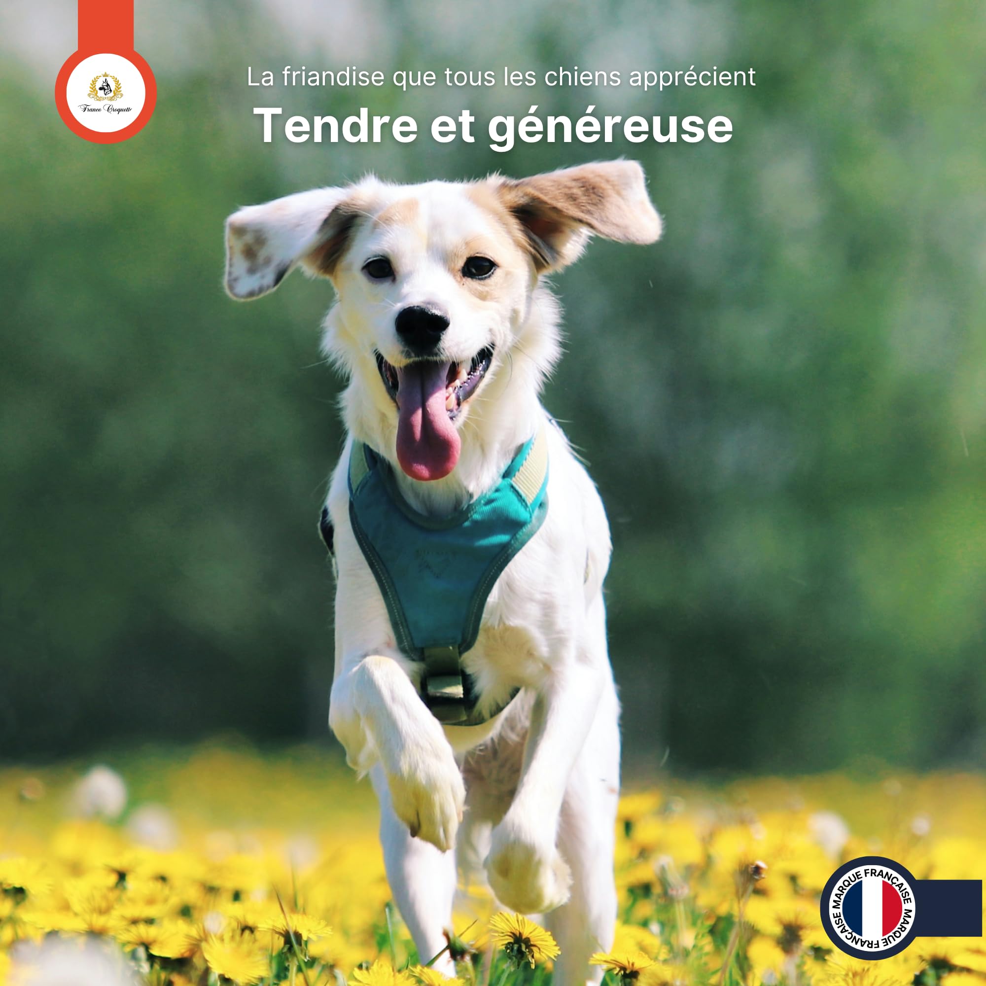 france-croquettes-aiguillettes-poulet-chien-500g-tendres image 8