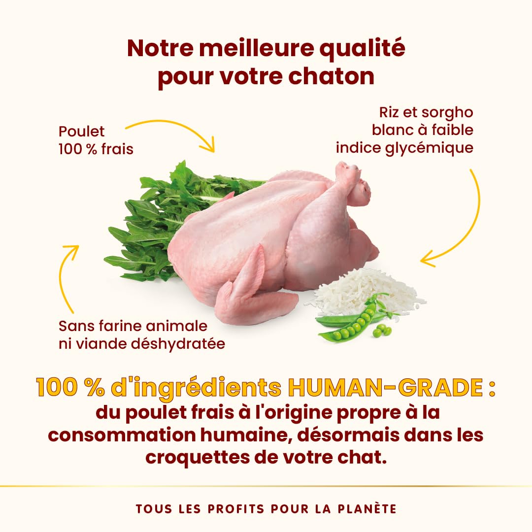 almo-nature-hfc-kitten-poulet-croquettes-chaton-1-2kg image 3