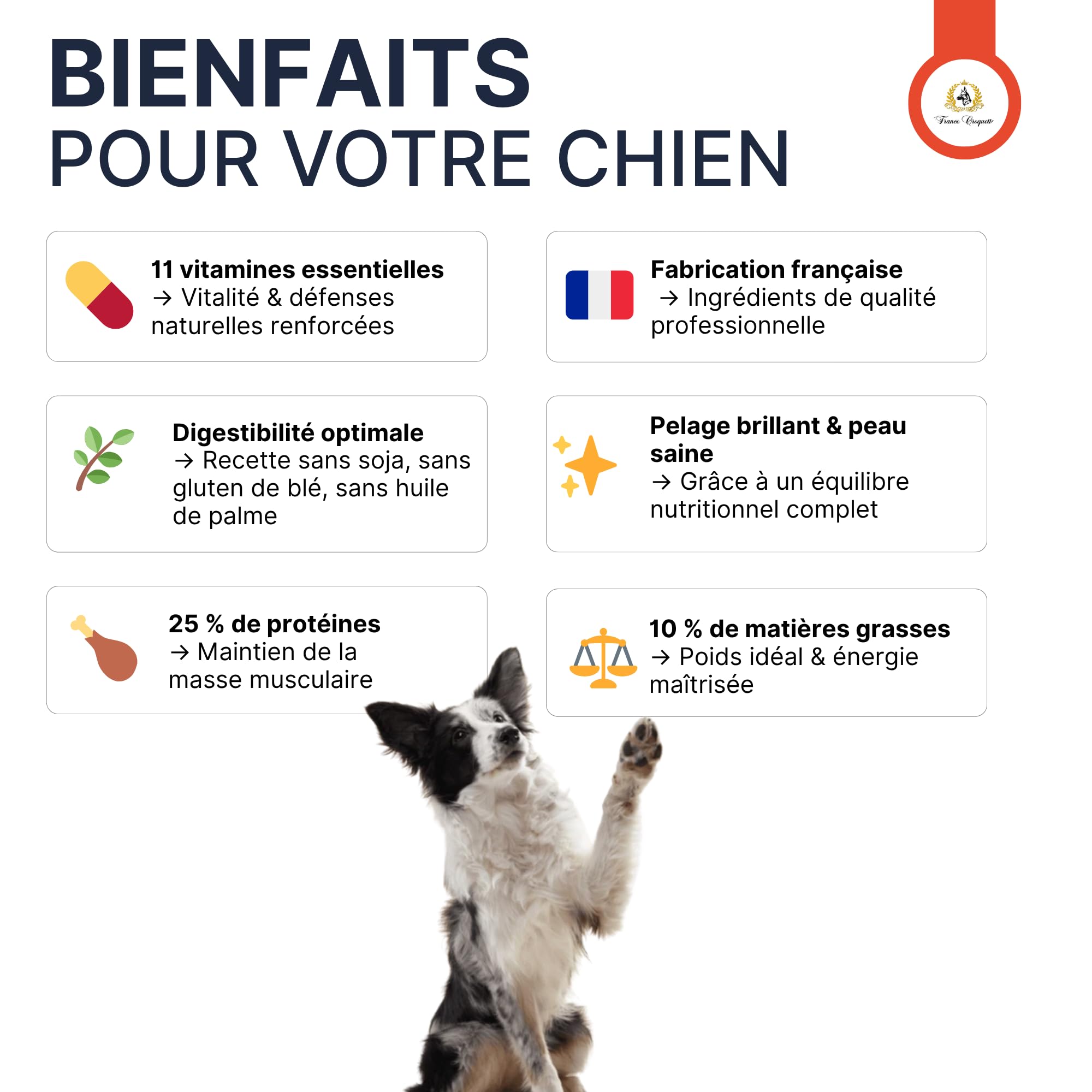 france-croquettes-equilibre-25-10-croquettes-chien-12-kg-adulte image 3