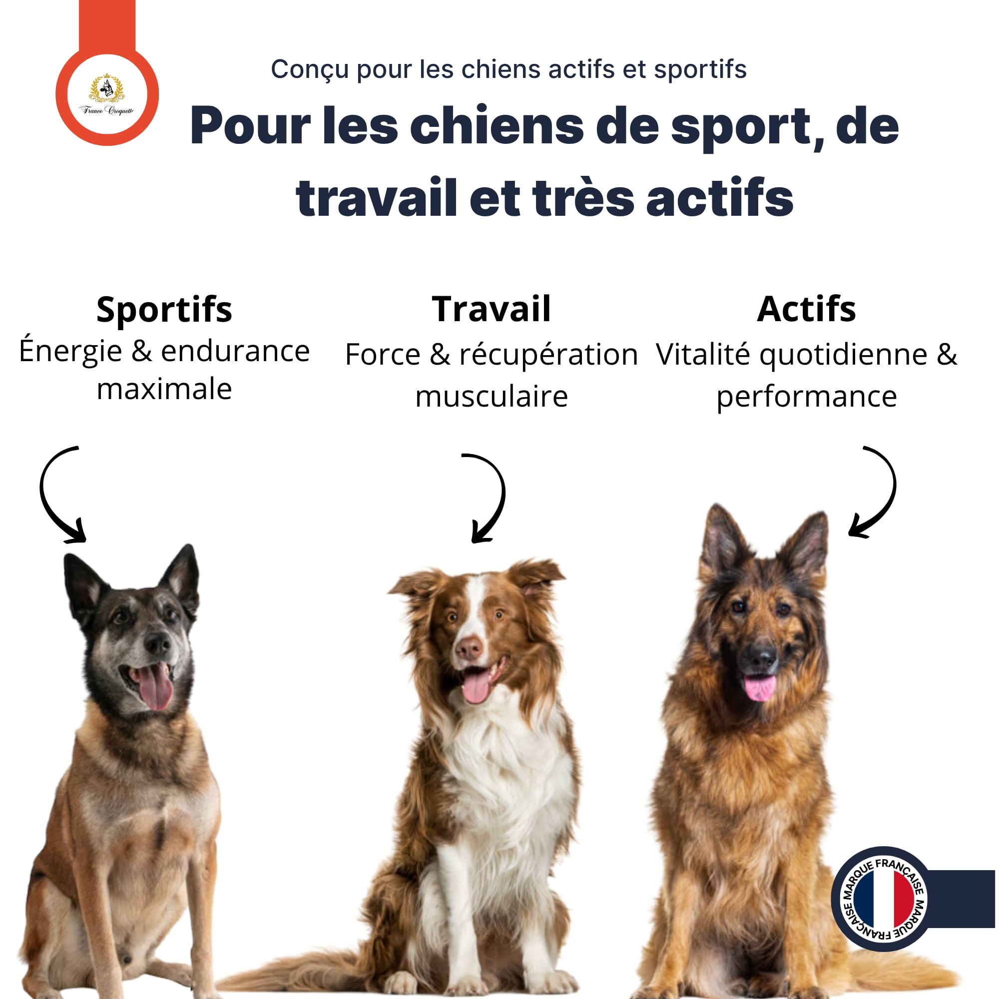 france-croquettes-sport-pro-31-14-croquettes-chien-sport-4-kg image 8