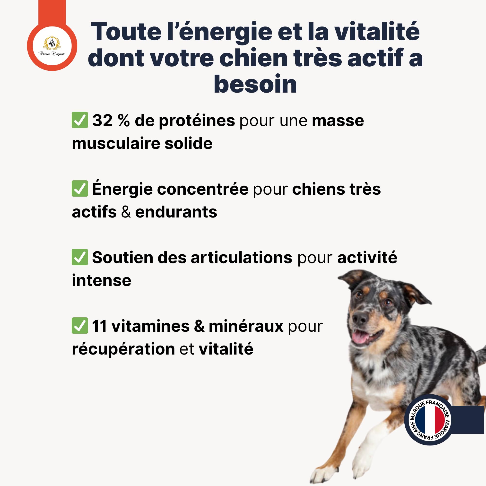 france-croquettes-gold-sport-energy-32-16-croquettes-chien image 6