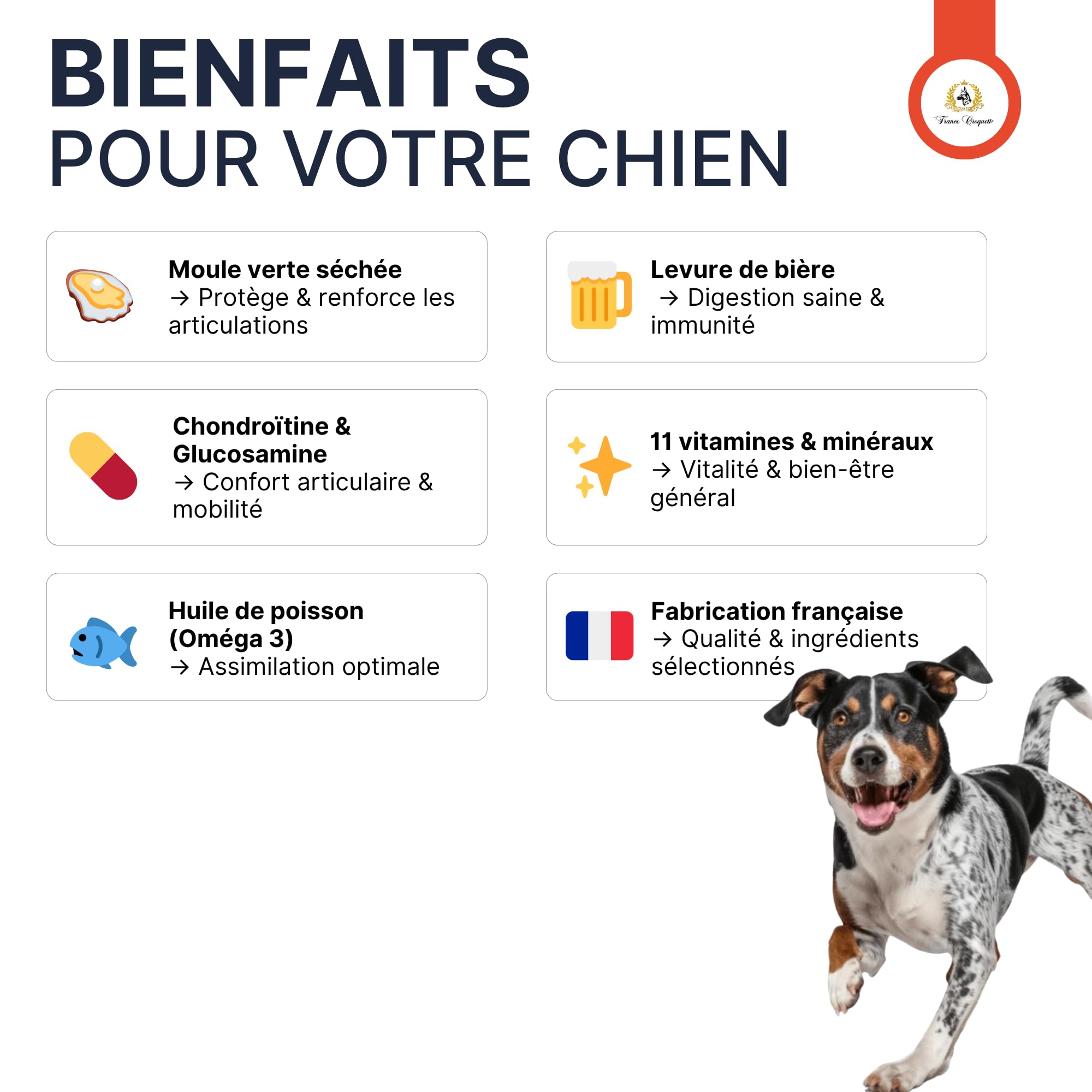 france-croquettes-gold-sport-energy-32-16-croquettes-chien image 7