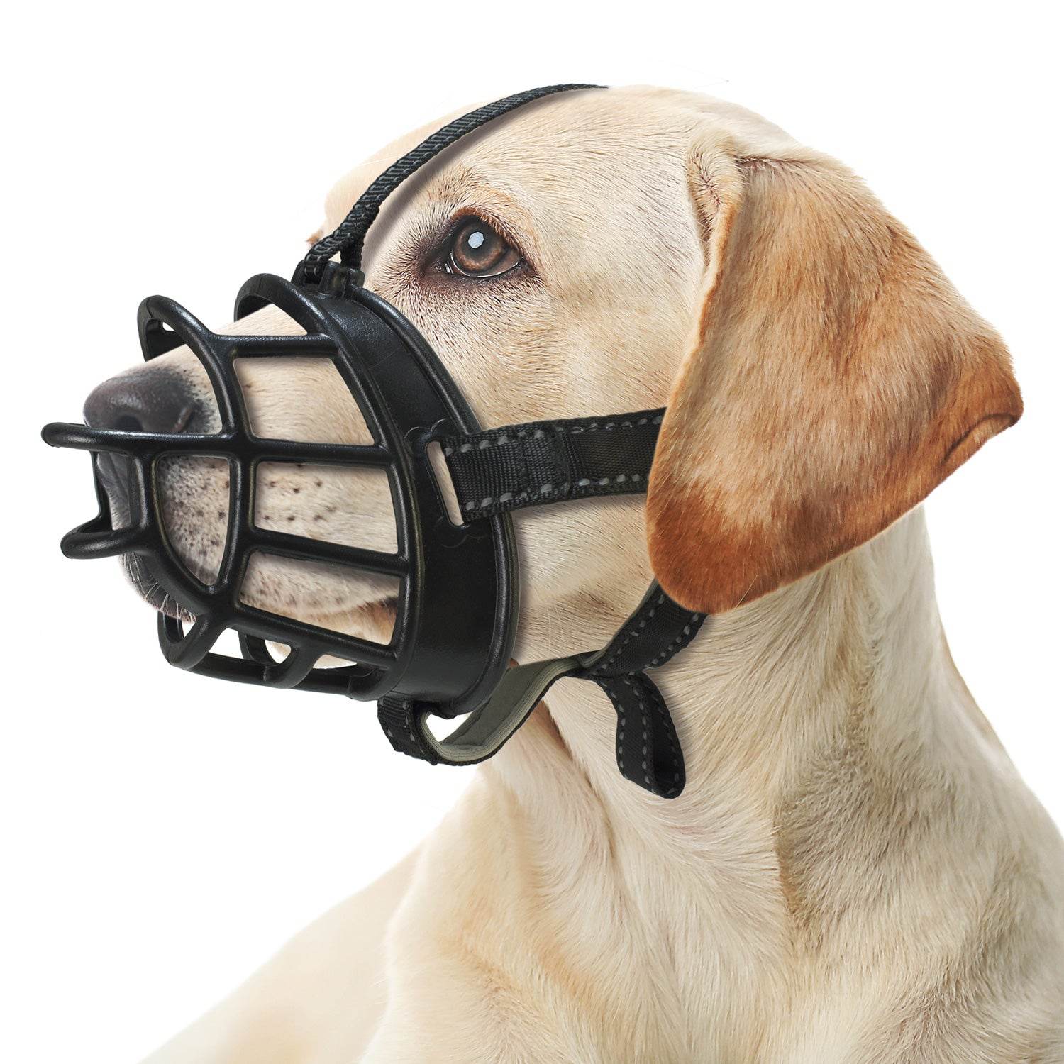 arquivet-museli-re-chien-silicone-souple-noire-s image 2