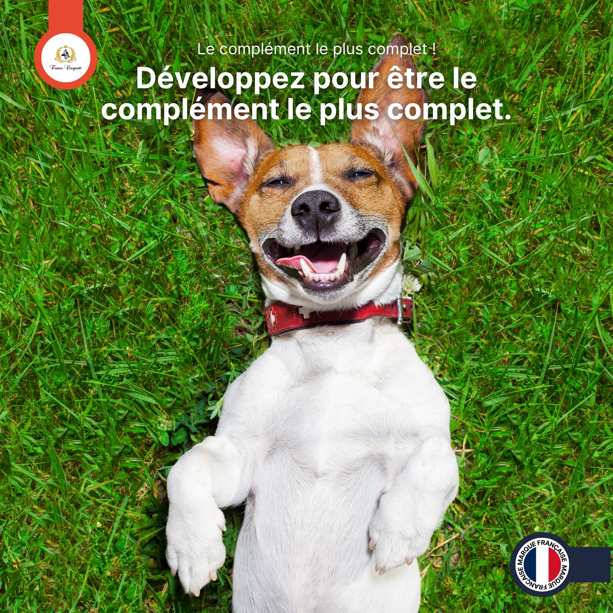 france-croquettes-x8-compl-ment-chien-poudre-500-g image 8