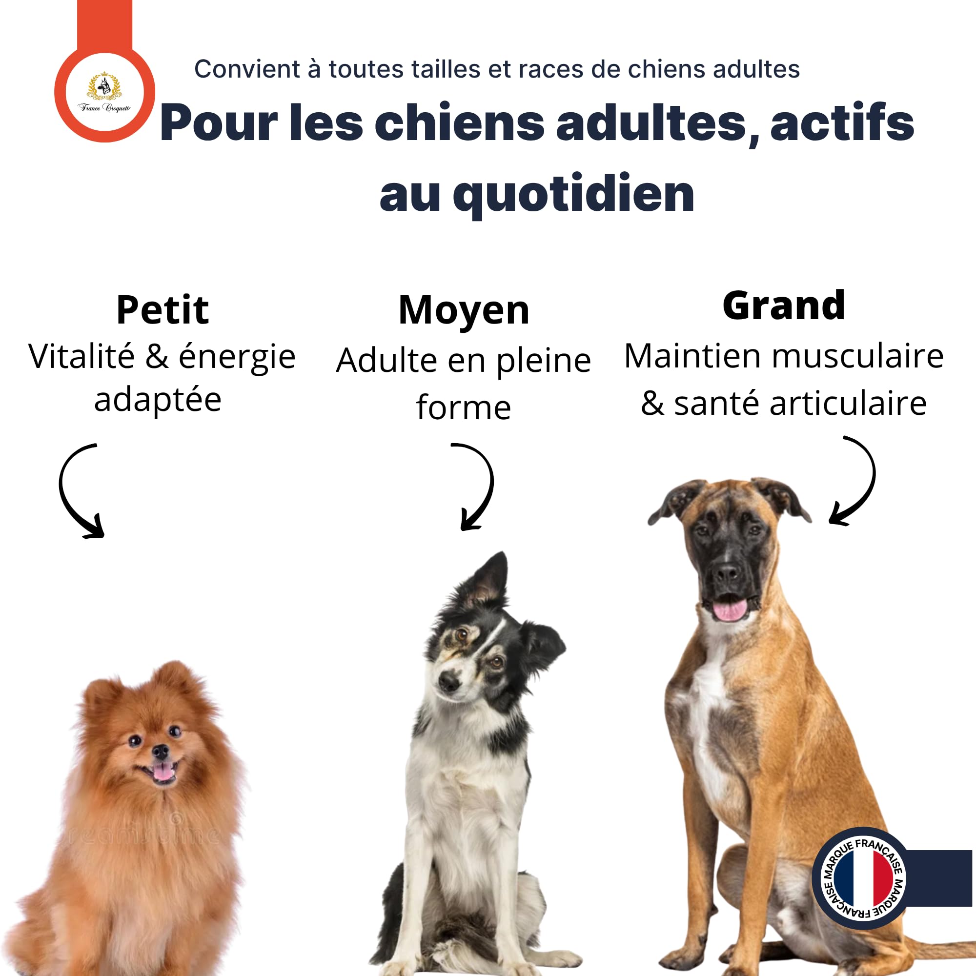 france-croquettes-gold-premium-28-16-croquettes-chien-adulte image 7