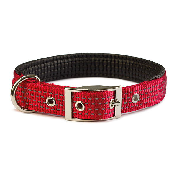arquivet-collier-nylon-chien-bleu-1-5x38-cm-rembourr image 4