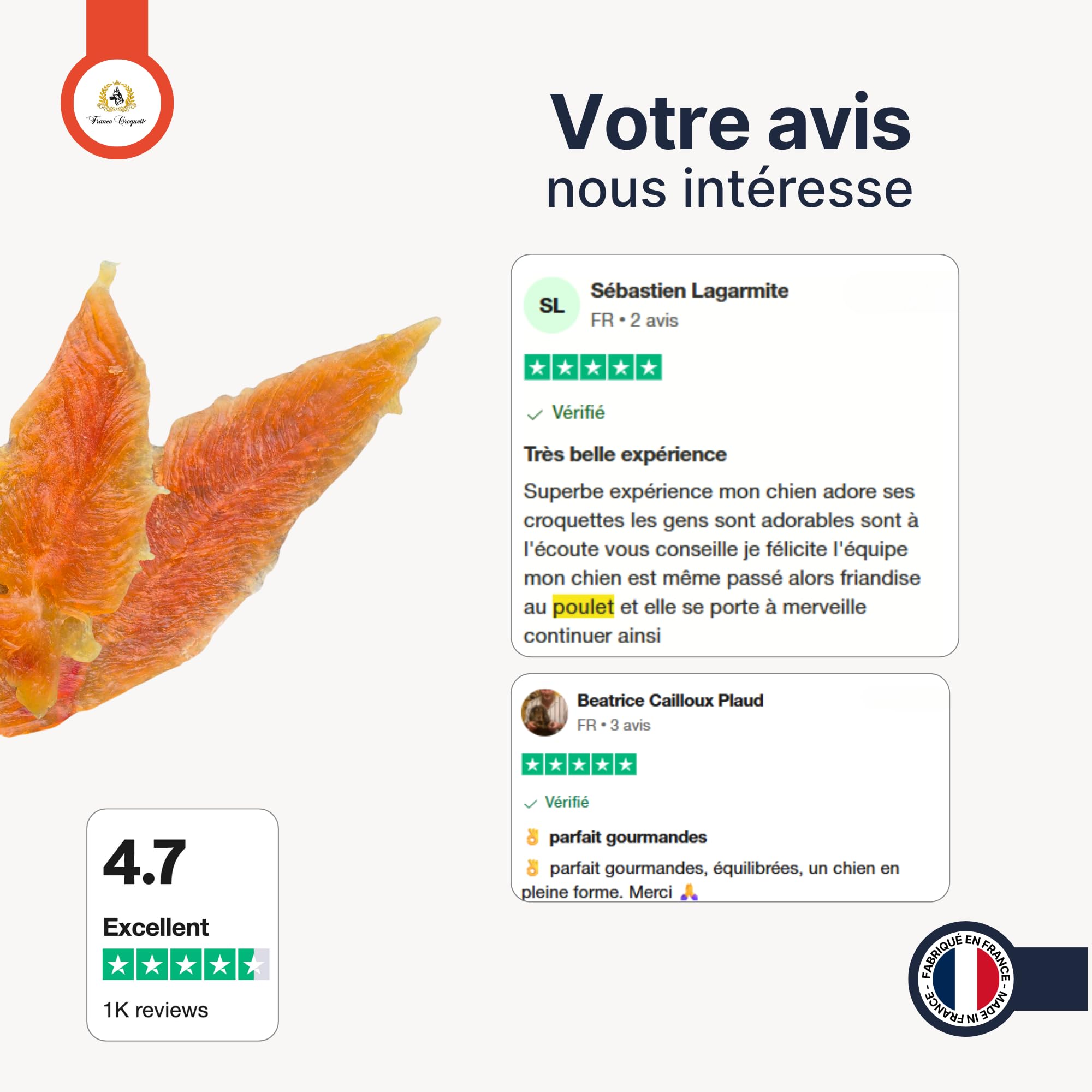 france-croquettes-aiguillettes-poulet-chien-500g-tendres image 4