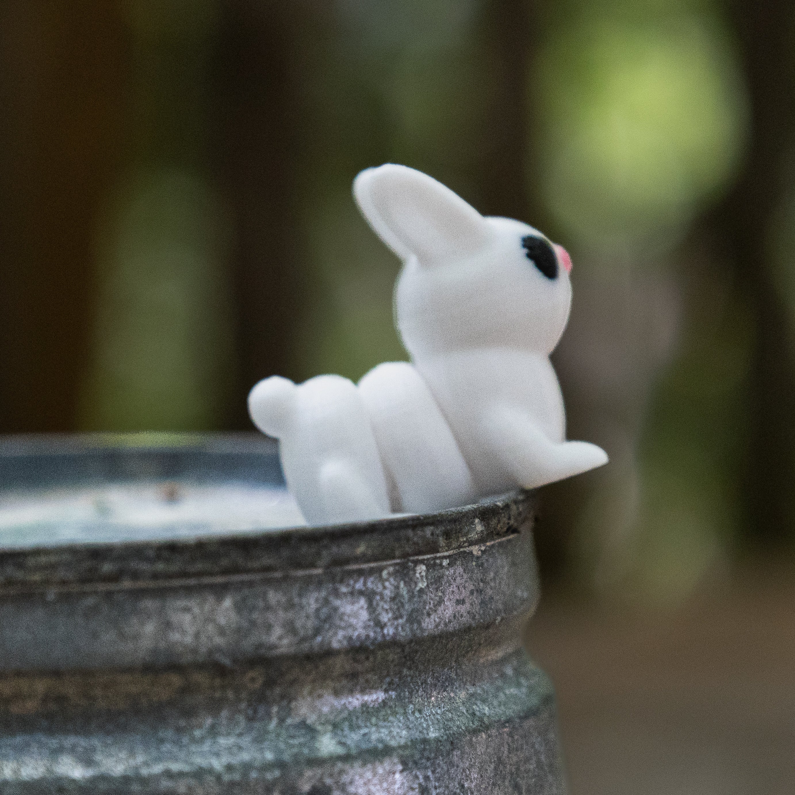 carabidule-bricoles-fidget-animal-articul-3d-collection-bureau image 8
