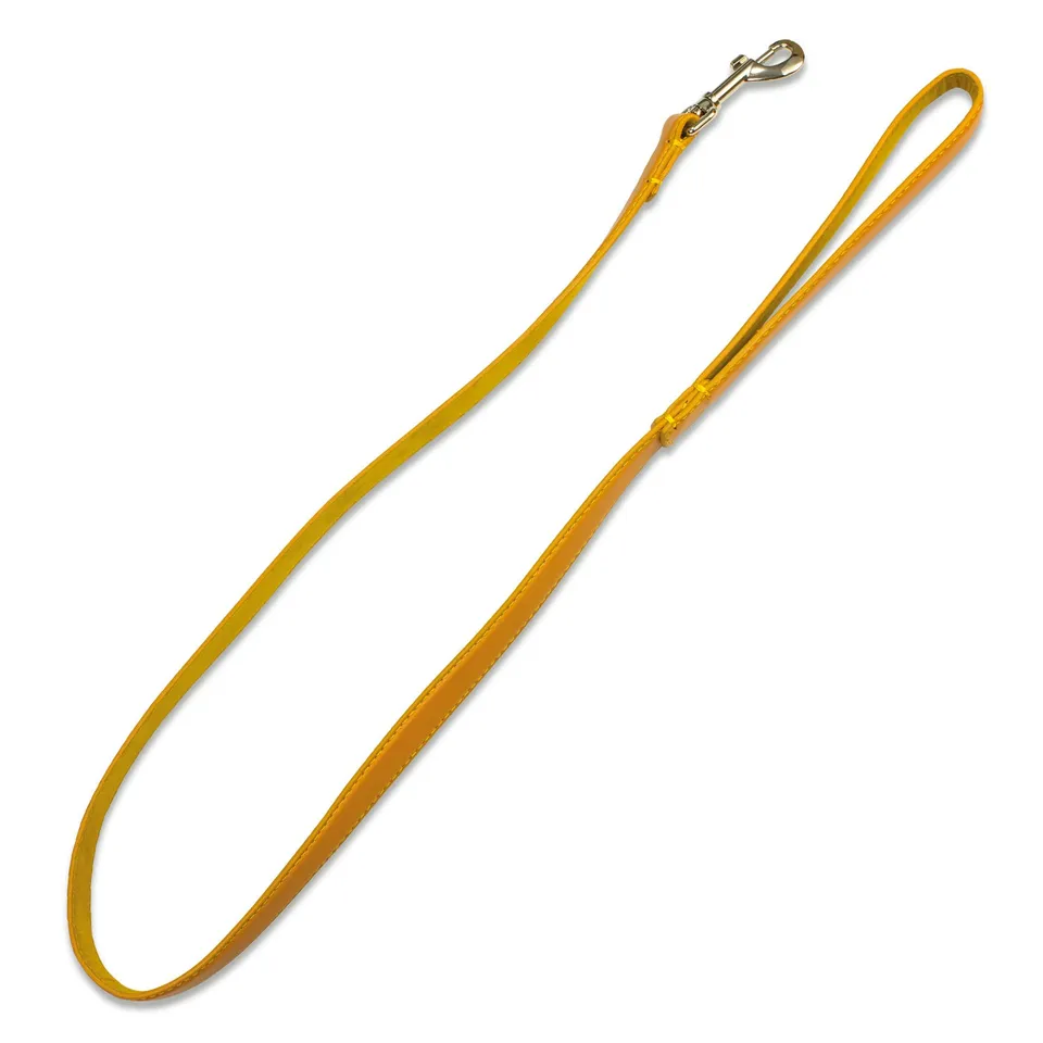 arquivet-laisse-cuir-beige-2x120-cm-pour-chien image 1