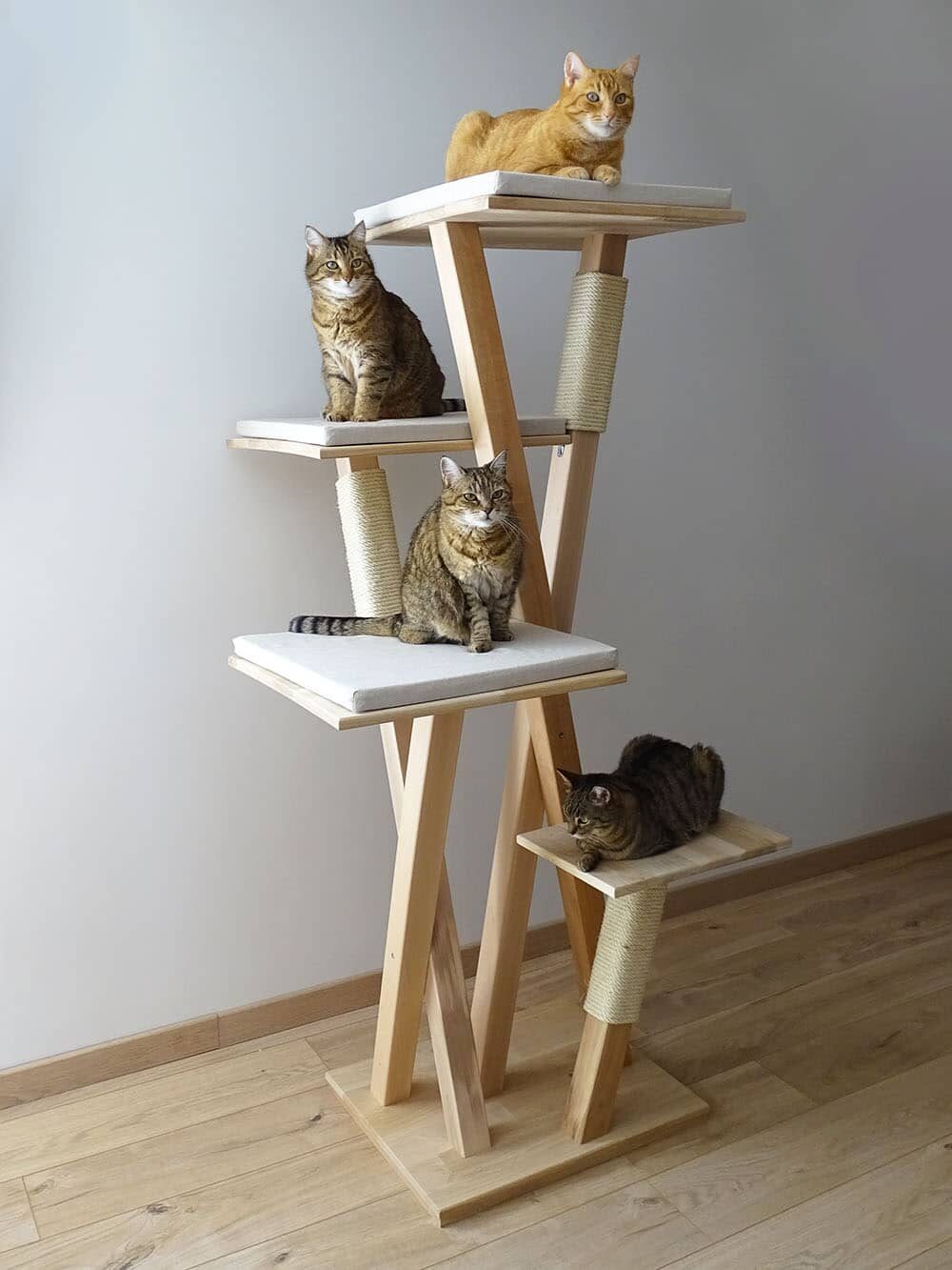 chat-perch-cosmos-arbre-chat-bois-xxl-maine-coon image 2