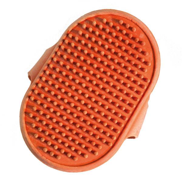arquivet-brosse-massage-ovale-chien-poils-courts image 1
