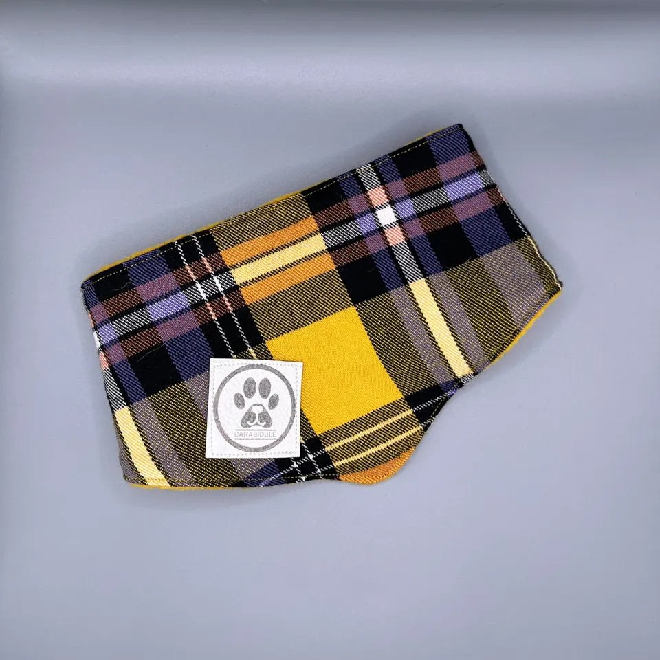 carabidule-les-douillets-carreaux-moutarde-bandana-polaire-m image 1