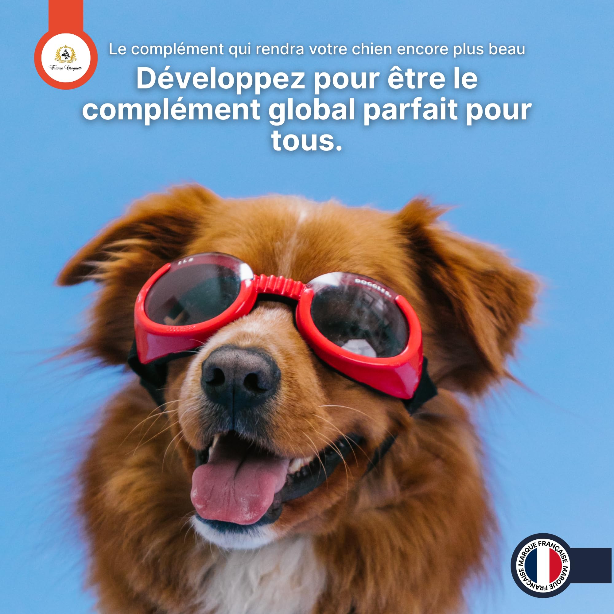 france-croquettes-x3-poudre-chien-chat-500-g-articulations image 7