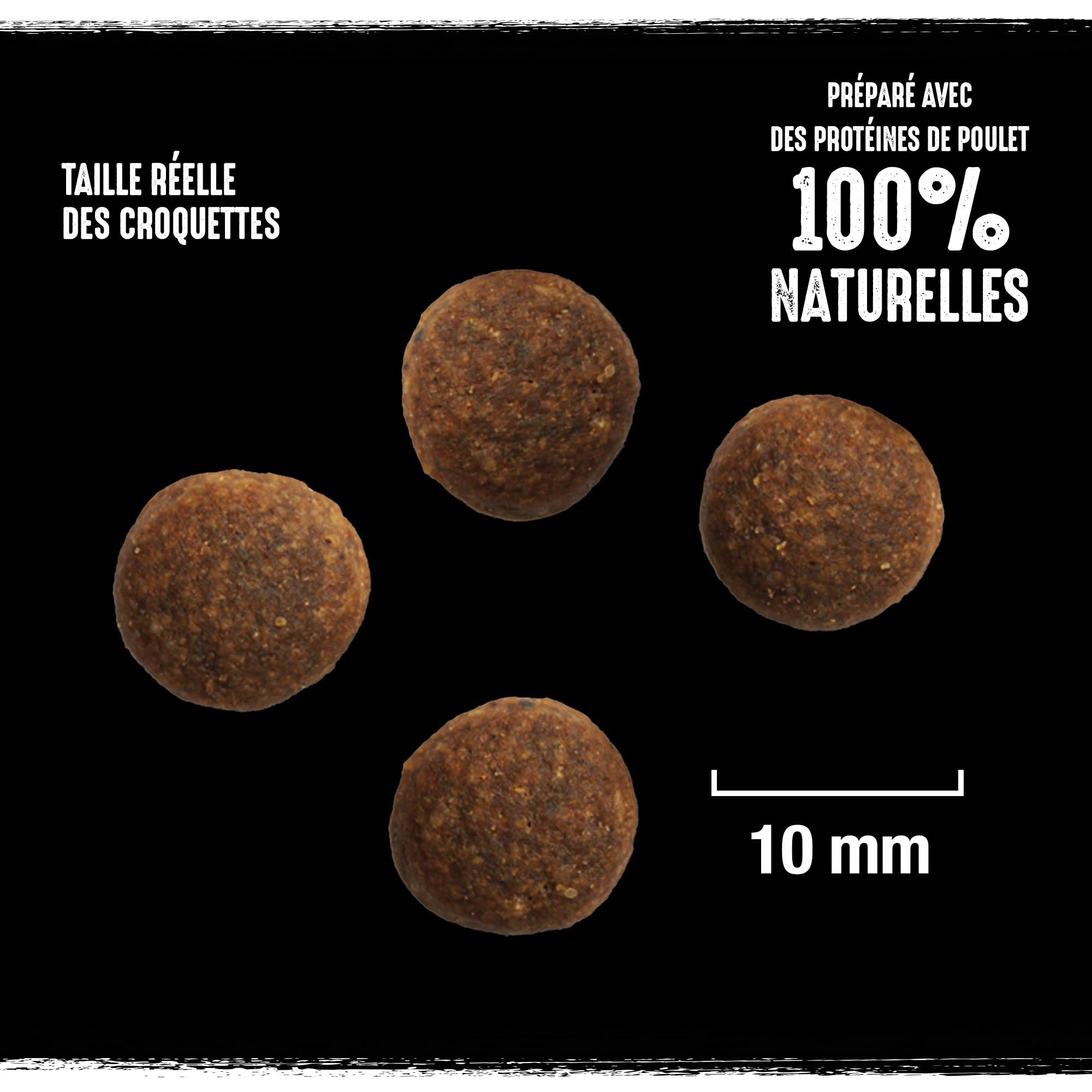 crave-dry-dog-food-croquettes-chien-dinde-poulet-6x1kg-prot-ines image 6