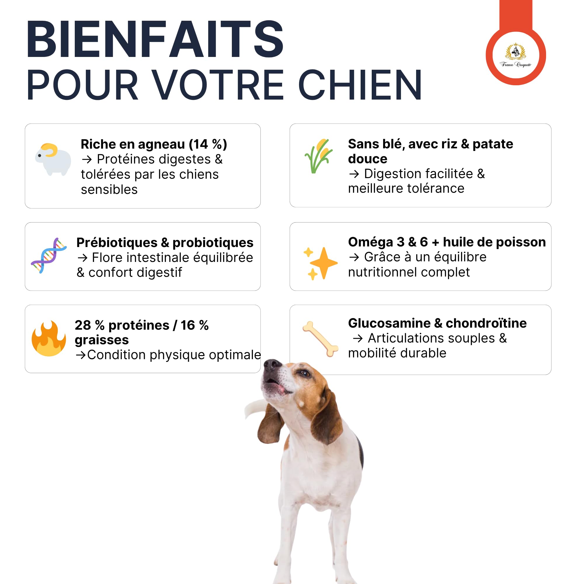 france-croquettes-royal-agneau-croquettes-chien-adulte-agneau-12-kg-hypoallerg-n image 7
