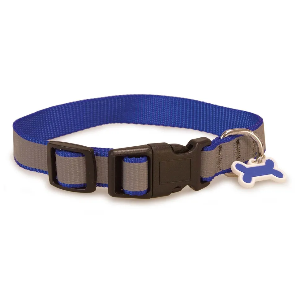 arquivet-collier-chien-bleu-r-fl-chissant-25-35-cm image 1
