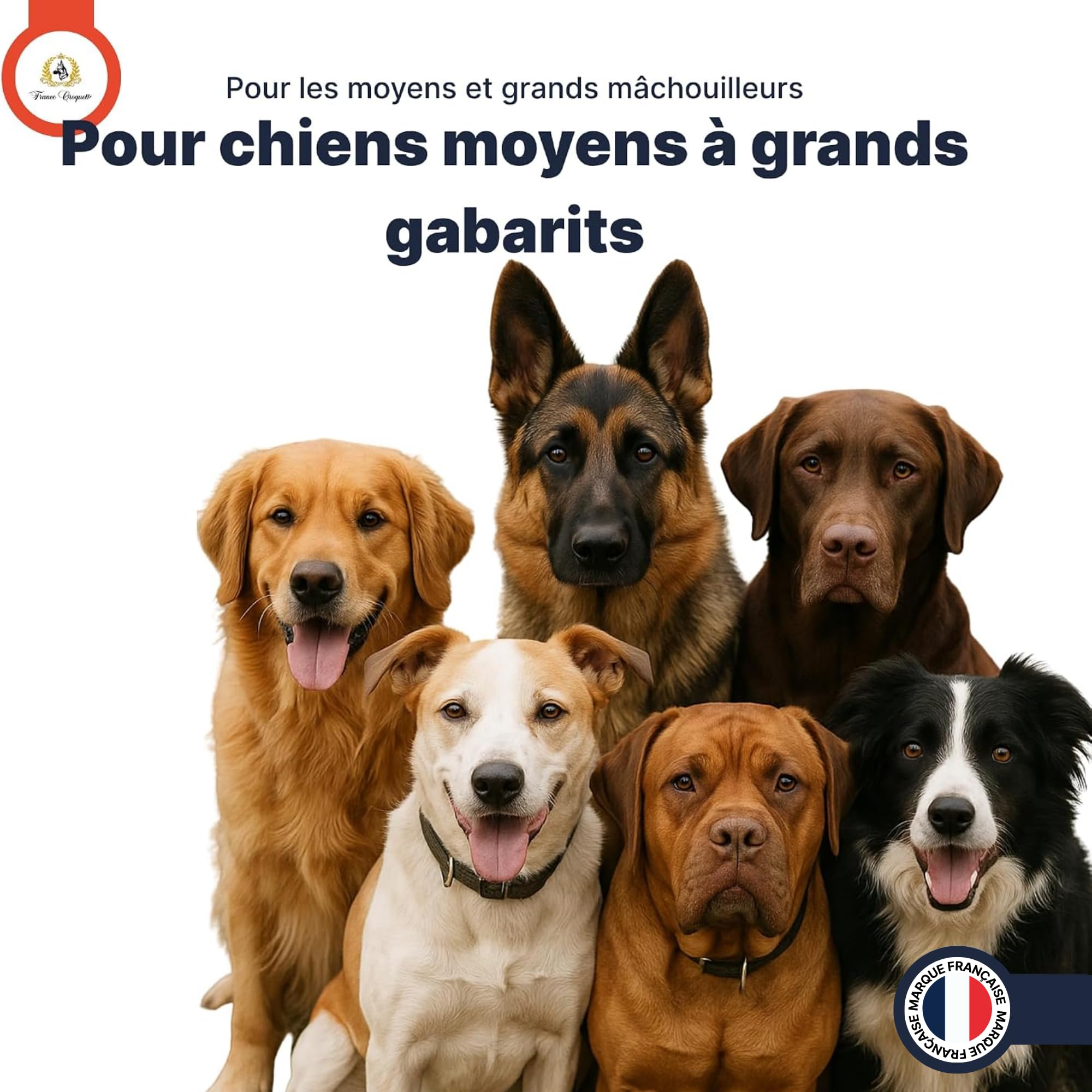 france-croquettes-friandises-groins-de-porc-friandise-m-cher image 7