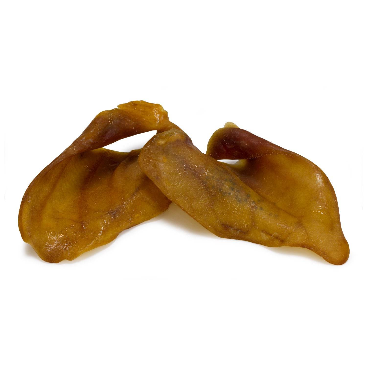 arquivet-oreilles-porc-ib-rique-friandise-chien-moyen-30g image 4
