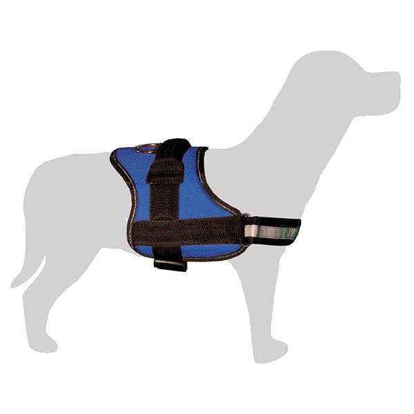 arquivet-harnais-rembourr-chien-bleu-57x65-70-cm-r-glable image 2