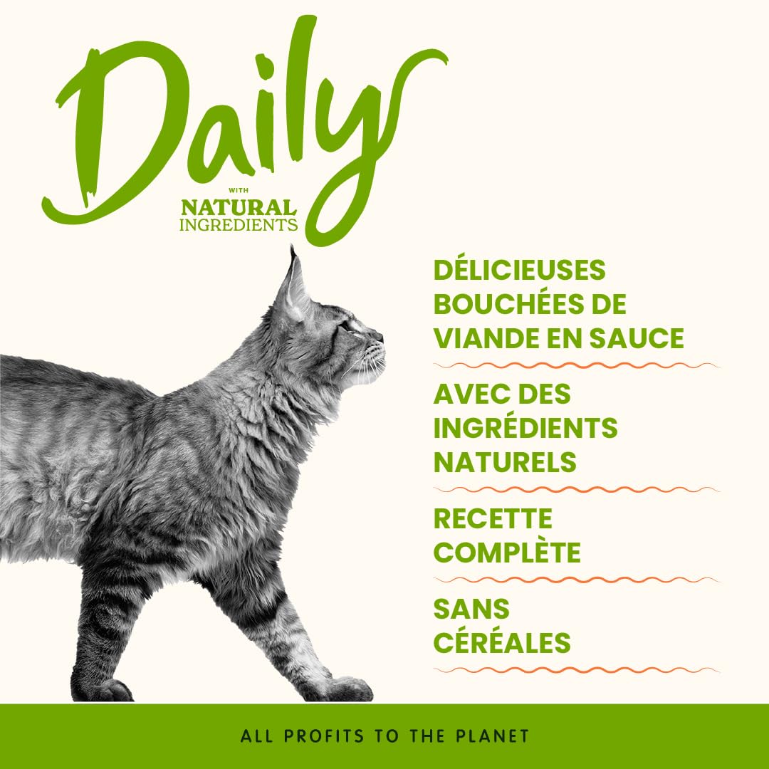almo-nature-daily-b-uf-p-t-e-chat-24x85g-sans-c-r-ales image 2