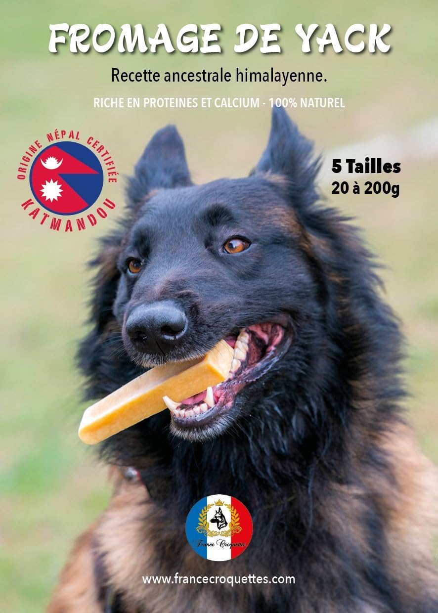france-croquettes-fromage-de-yak-l-x2-friandise-chien image 2