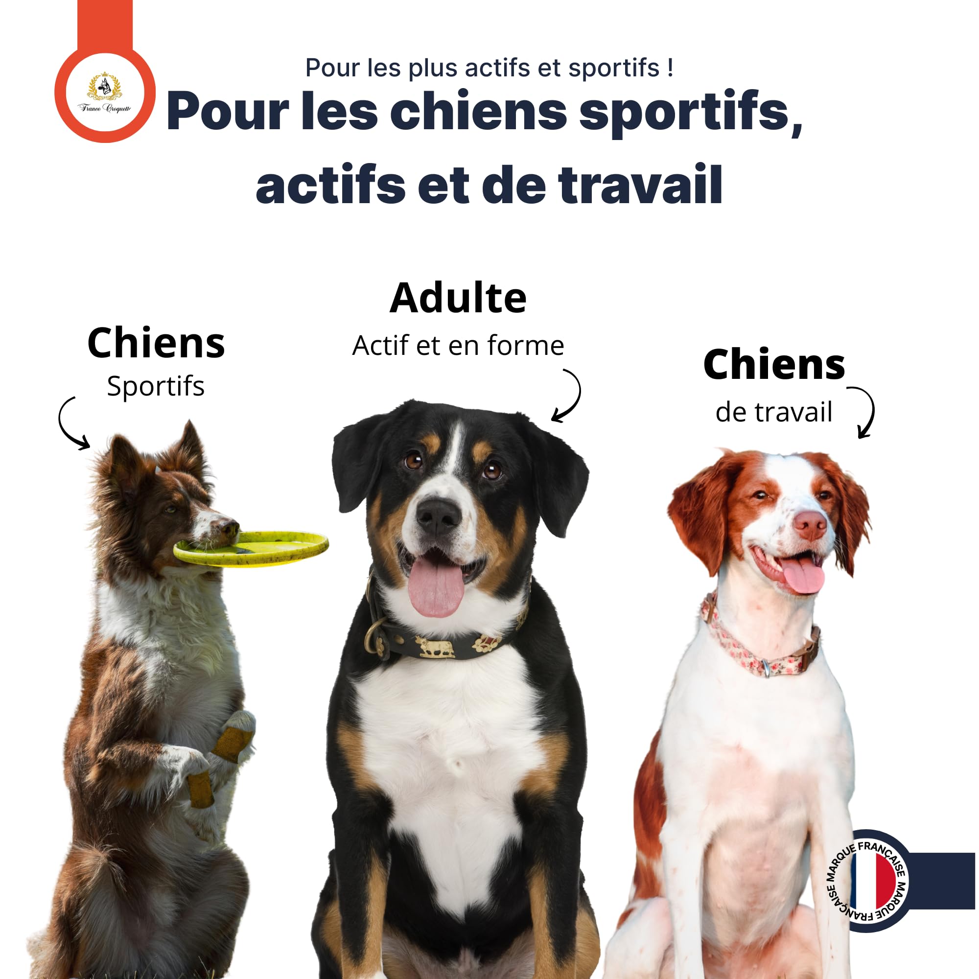 france-croquettes-x5-muscle-power-poudre-chien-500g-muscles image 8