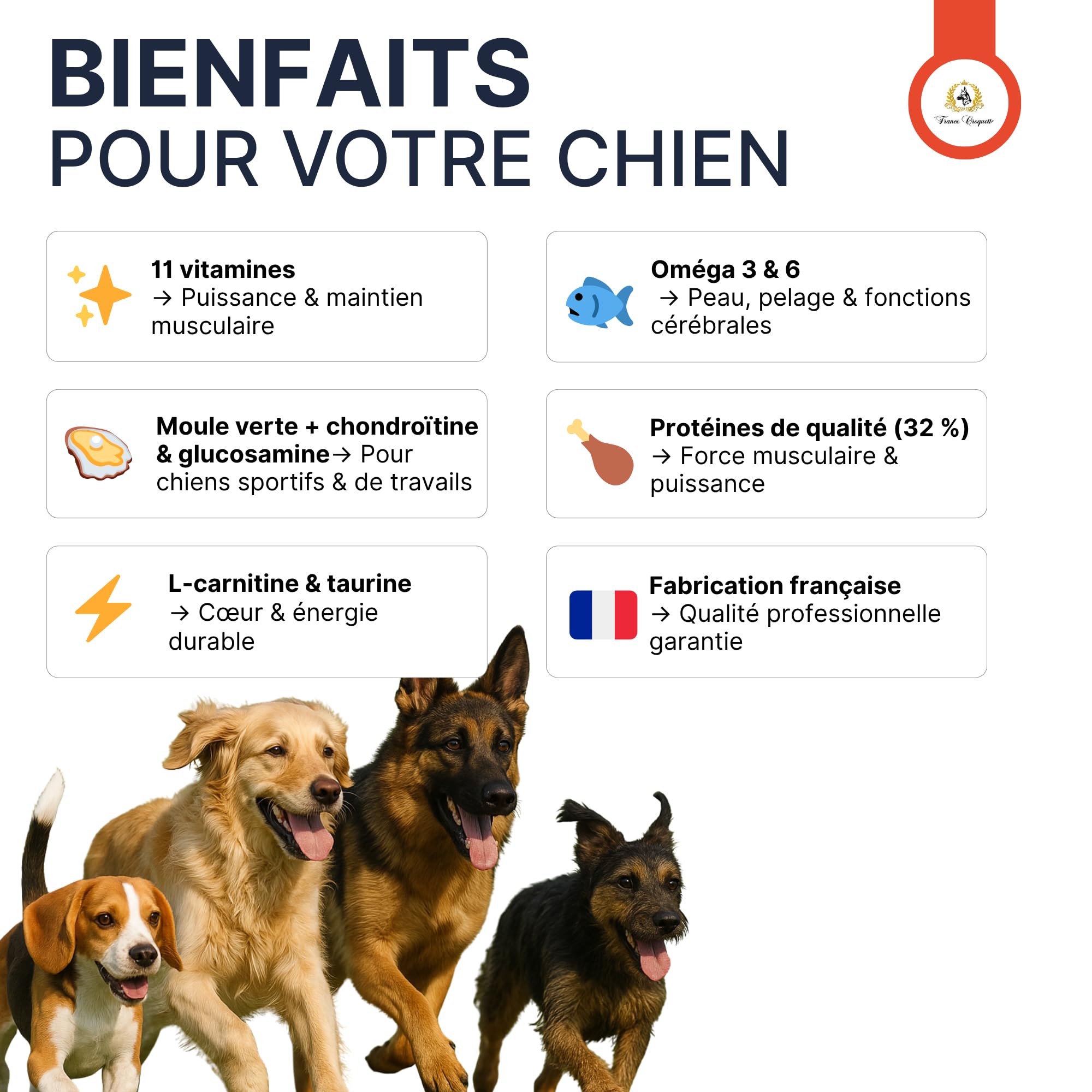 france-croquettes-gold-comp-tition-32-22-croquettes-sport-4kg image 6