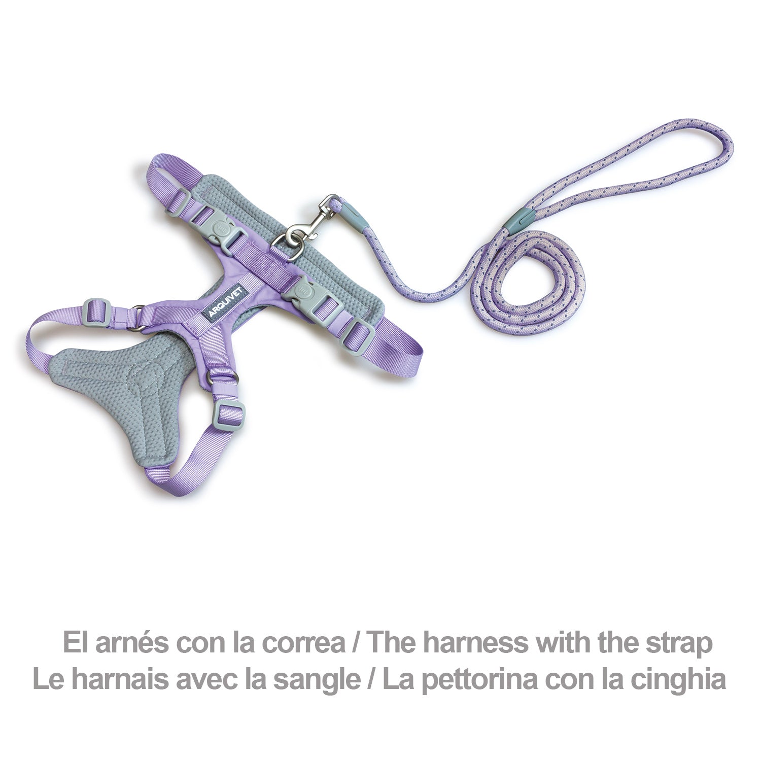 arquivet-roma-light-harnais-chien-violet-xs-30-42-cm image 3