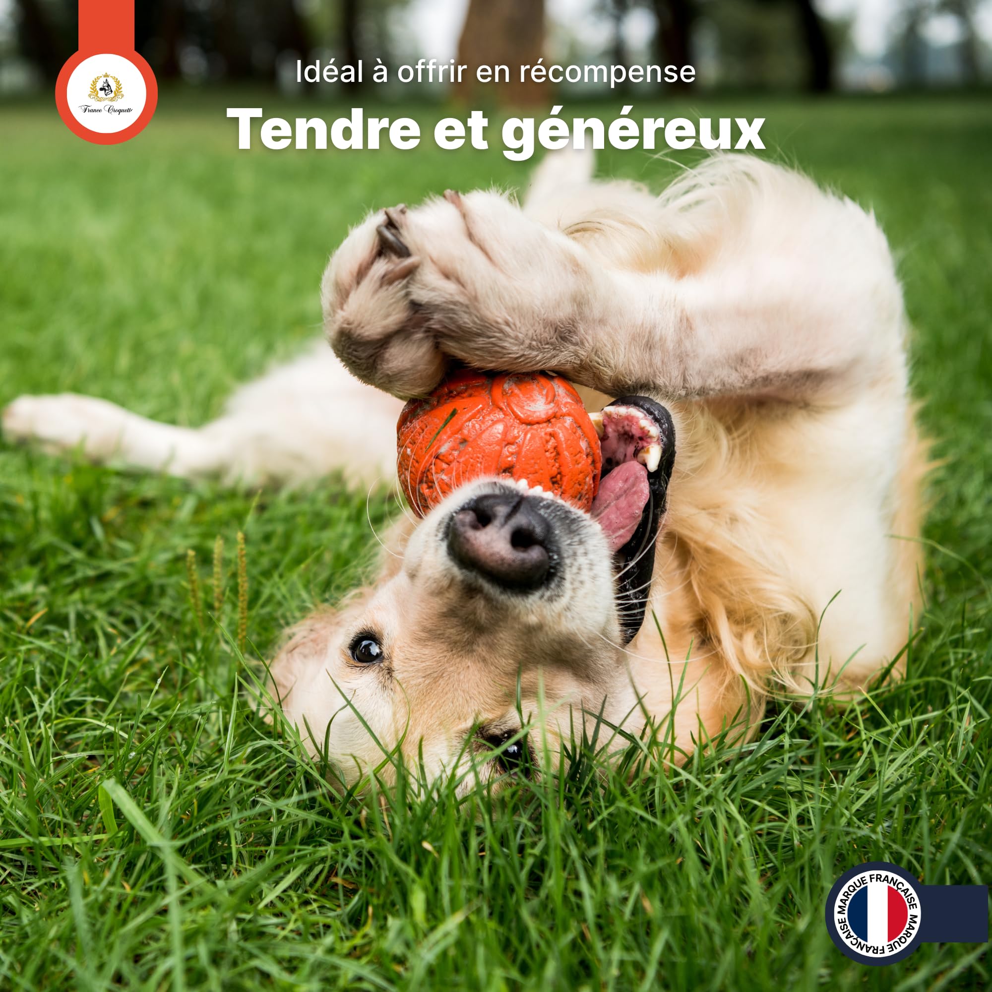 france-croquettes-friandises-magret-canard-chien-500g-tendre image 7
