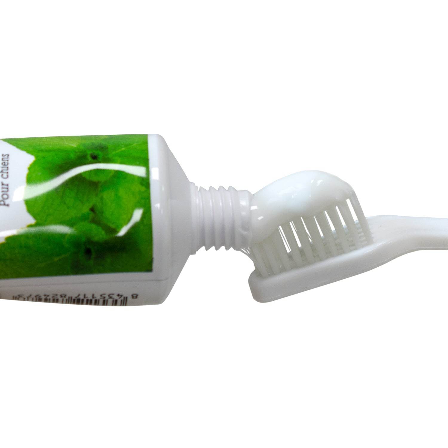arquivet-dentifrice-chien-dentifrice-menthe-haleine-fra-che image 3
