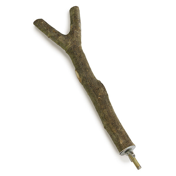 arquivet-perchoir-oiseau-bois-y-20-cm-visser image 1