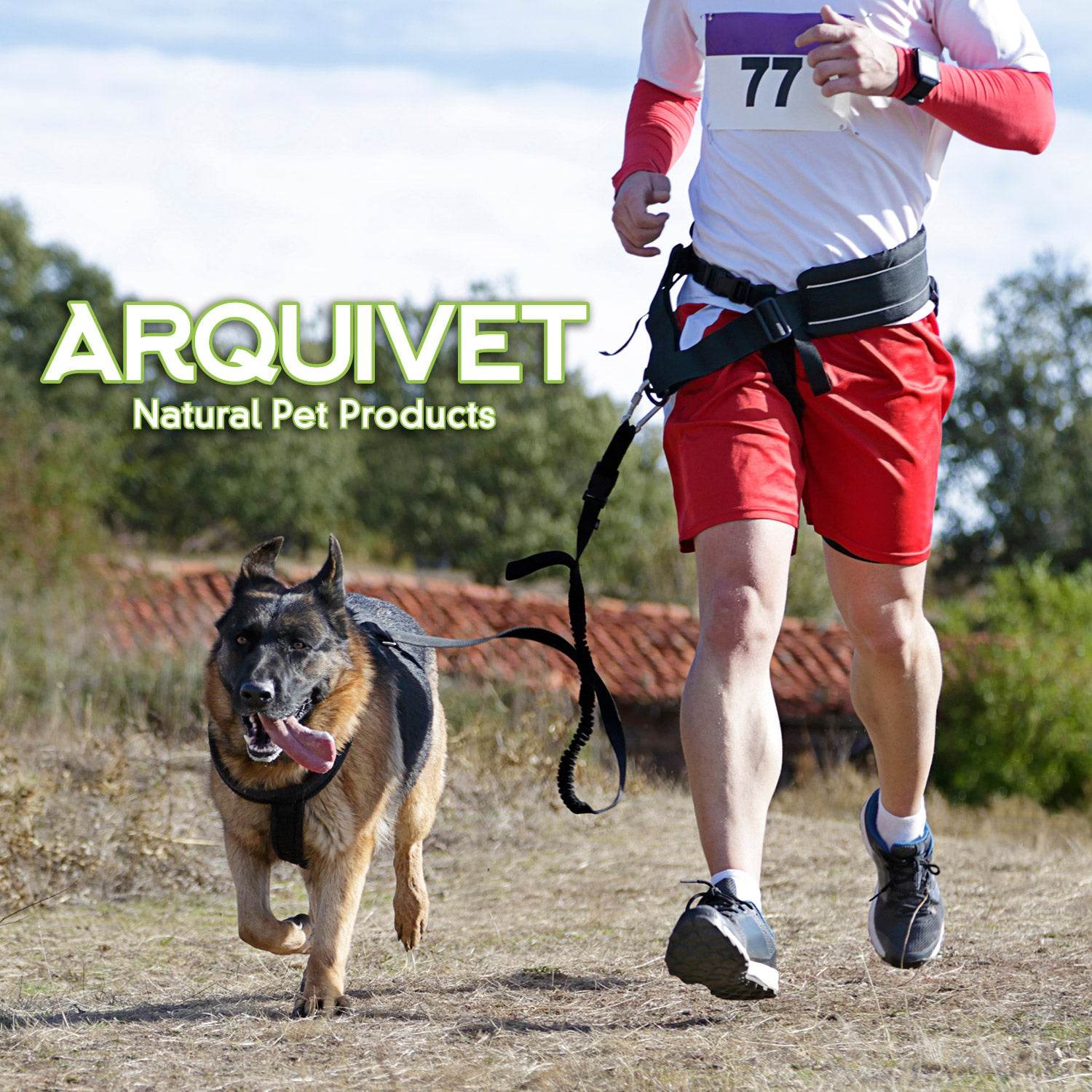 arquivet-ceinture-canicross-laisse-noire-120-150-cm image 3