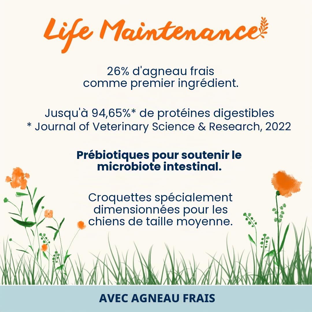 almo-nature-holistic-adult-m-croquettes-chien-agneau-12-kg image 2