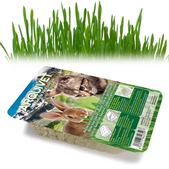 arquivet-herbe-chat-barquette-graines-100-g-fra-che image 1