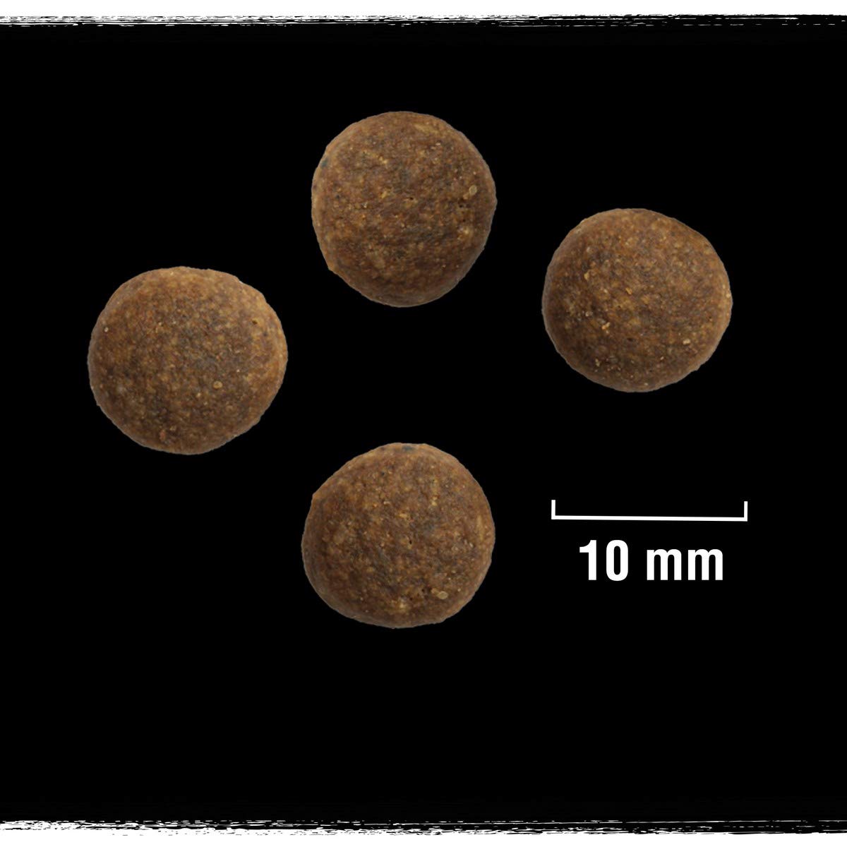 crave-dry-dog-food-dinde-poulet-croquettes-chien-5x1kg image 6