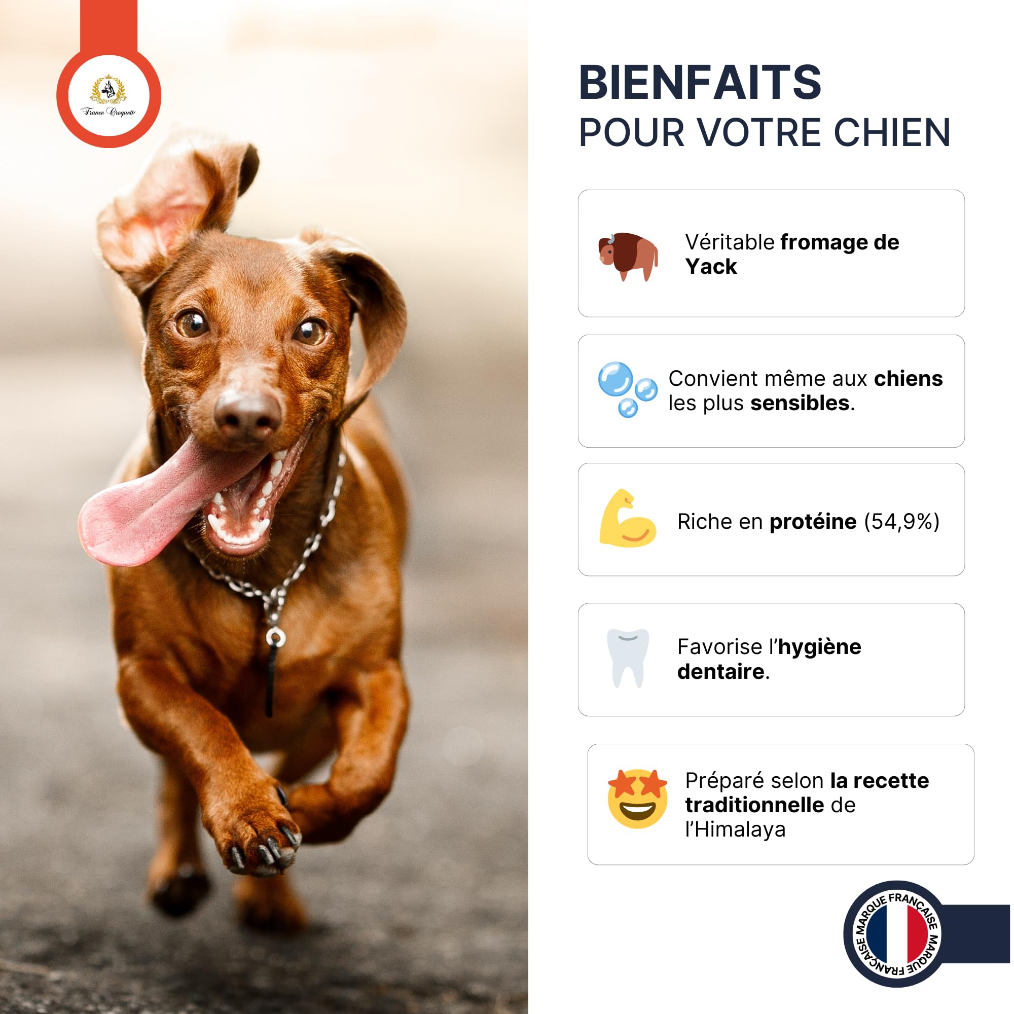france-croquettes-fromage-yak-xl-chien-150g-mastication image 2