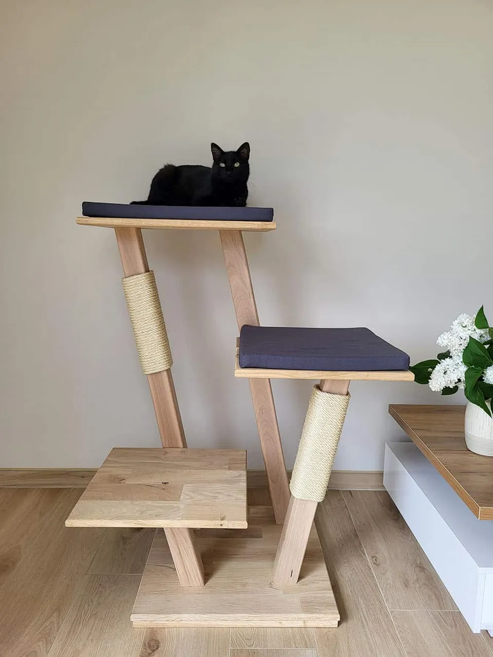 chat-perch-amaryllis-arbre-chat-bas-chat-g image 1