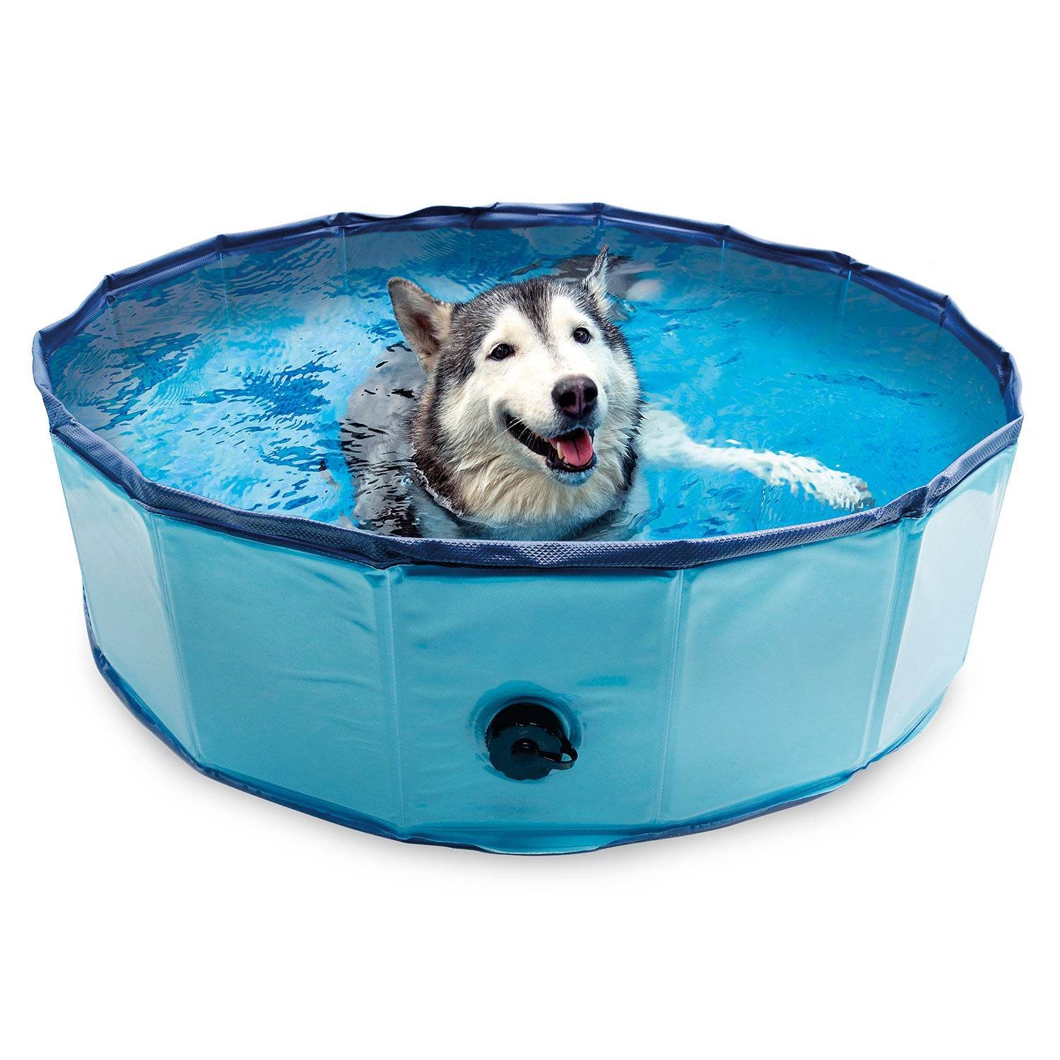 arquivet-piscine-chien-pataugeoire-80x20-cm-t image 3