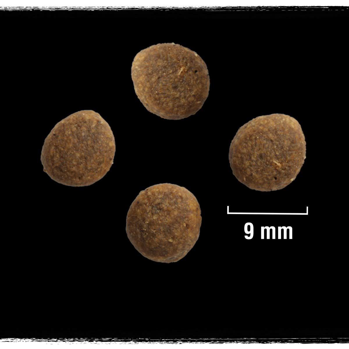 crave-dry-cat-food-croquettes-chat-saumon-5x750g-sans-c-r-ales image 6