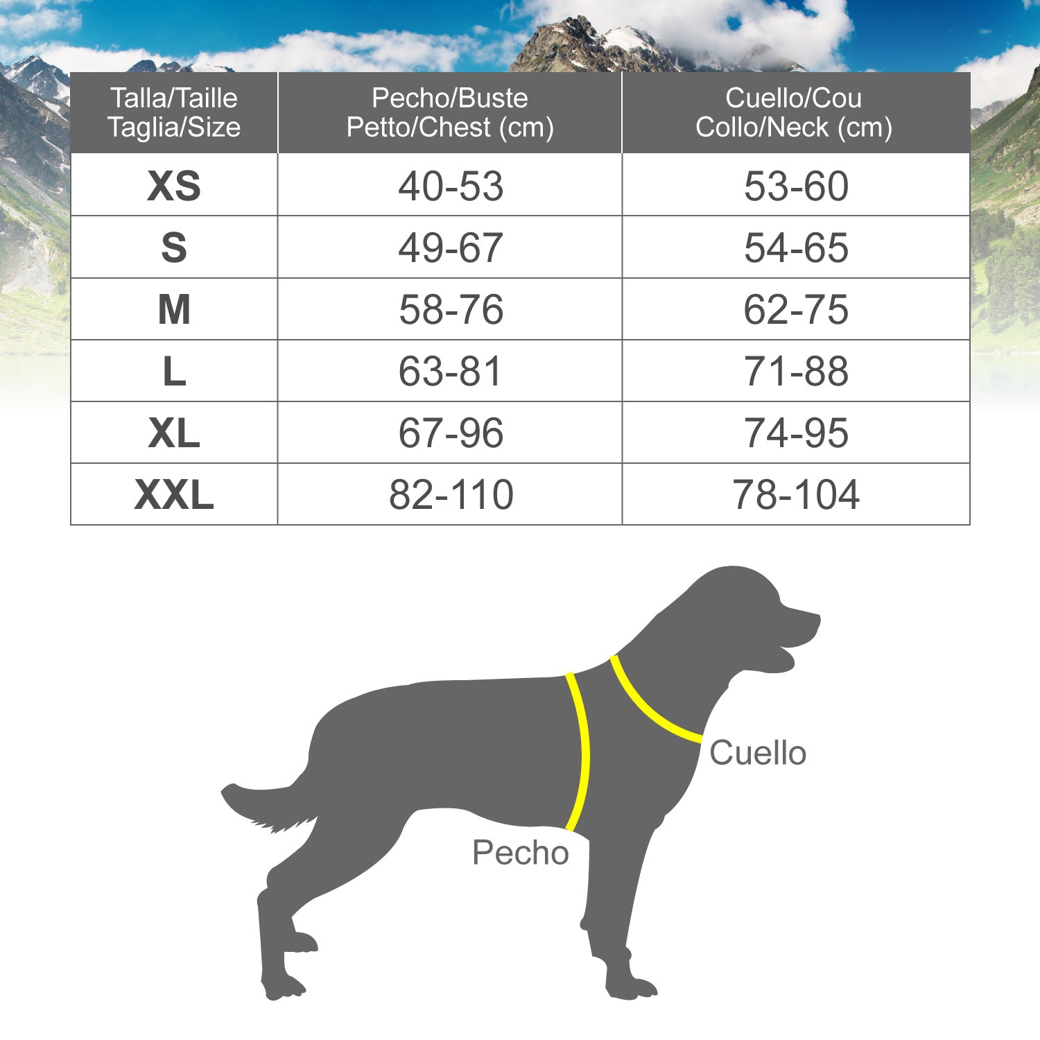 arquivet-classic-xtreme-harnais-chien-noir-m-61-81 image 3