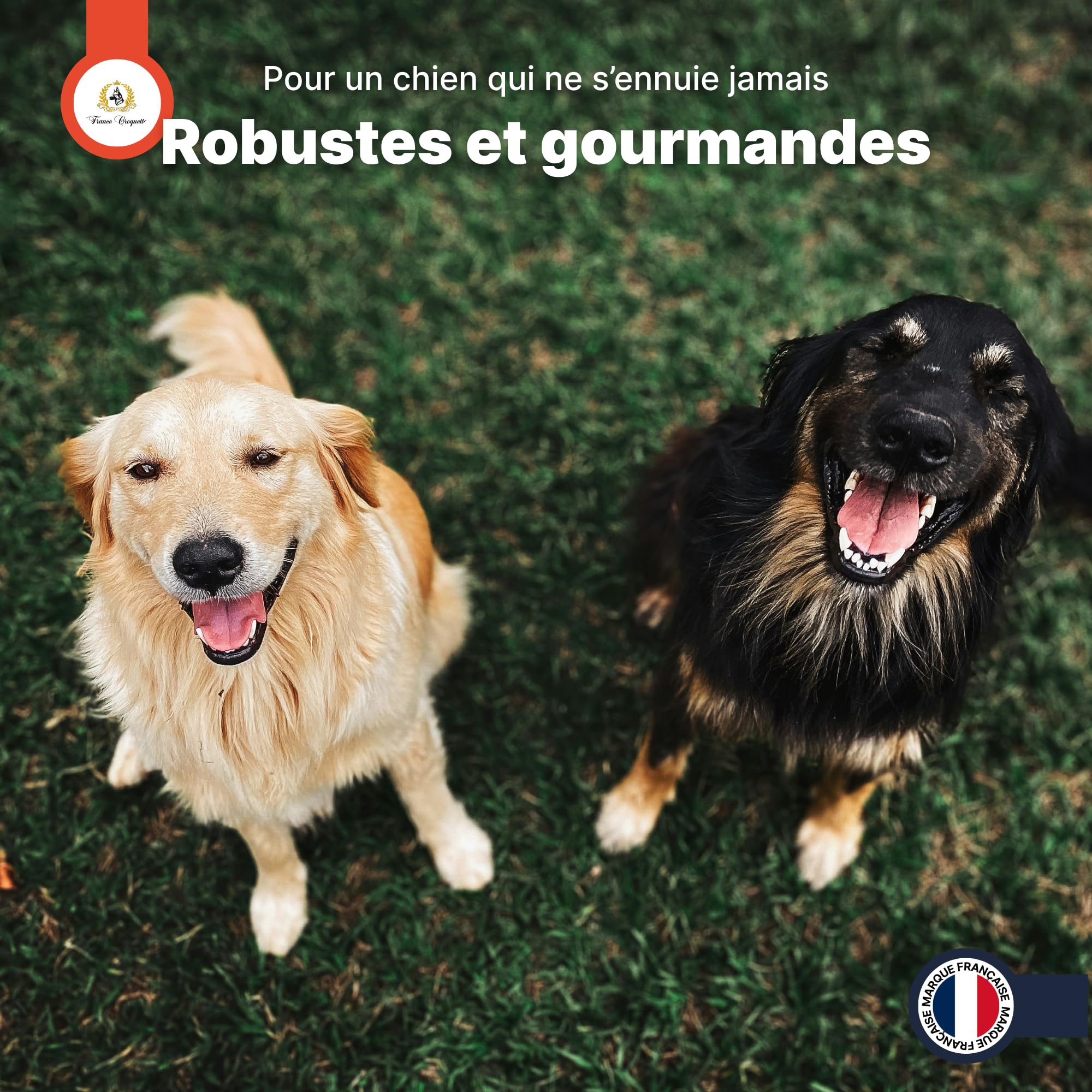 france-croquettes-friandises-tendon-b-uf-friandise-chien-500g-r-sistante image 8