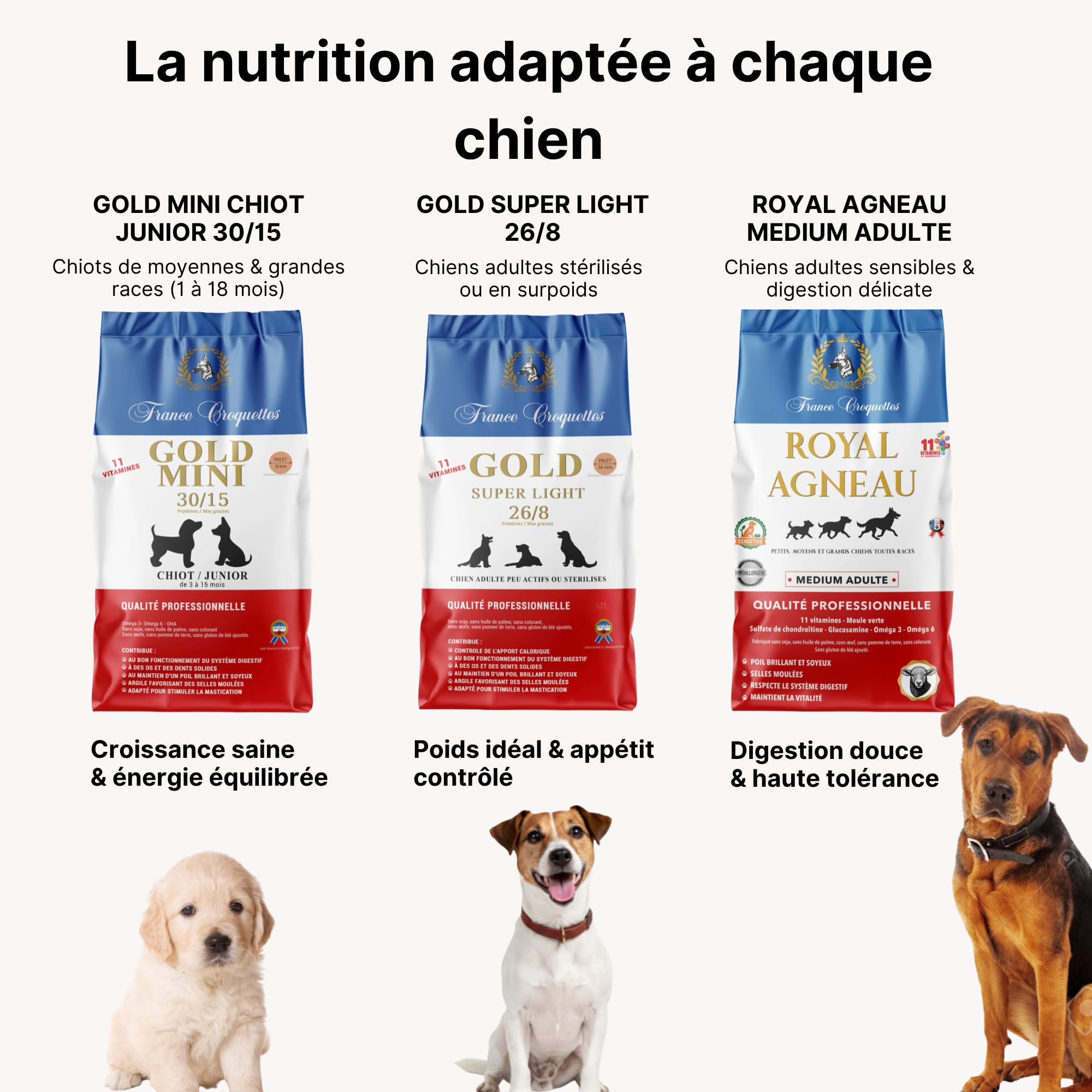 france-croquettes-quilibre-25-10-croquettes-chien-4-kg-adulte image 8