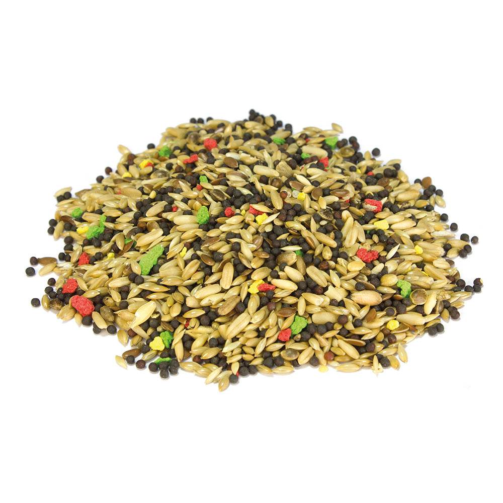 arquivet-m-lange-canari-graines-oiseaux-1-kg image 2