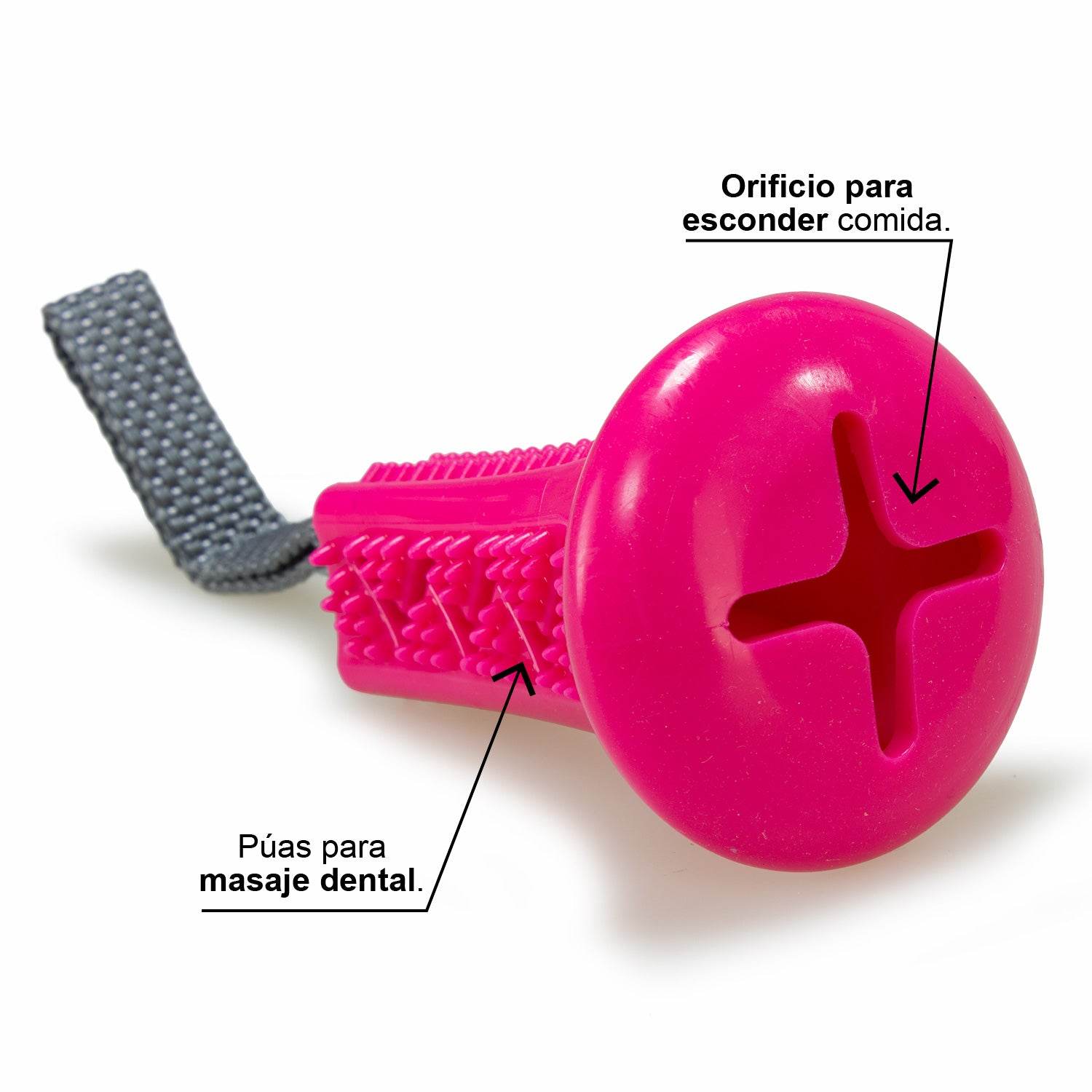 arquivet-brosse-dents-jouet-chien-avec-poign-e-tirer image 3