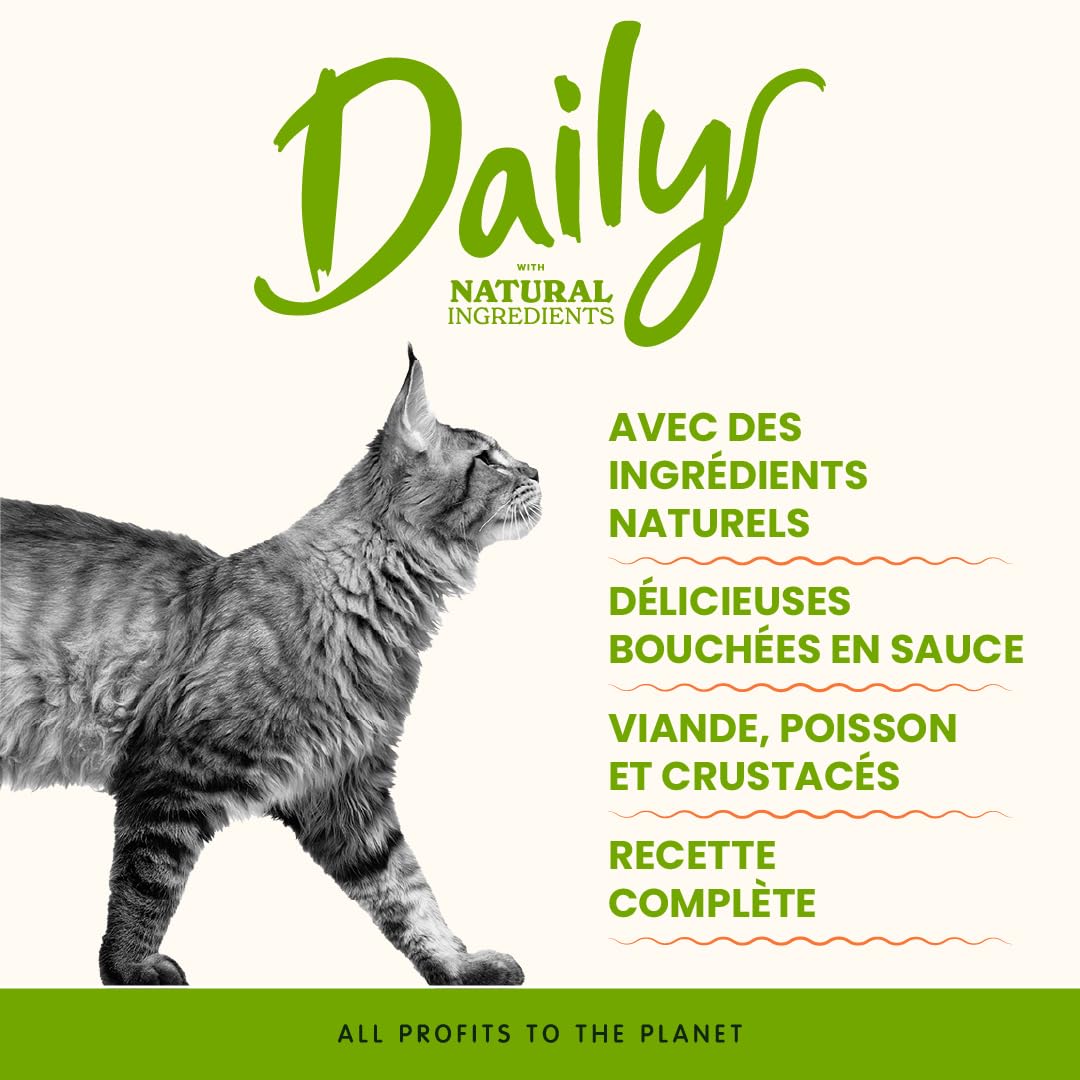 almo-nature-daily-p-t-e-chat-morue-crevettes-30x70g-sauce image 2