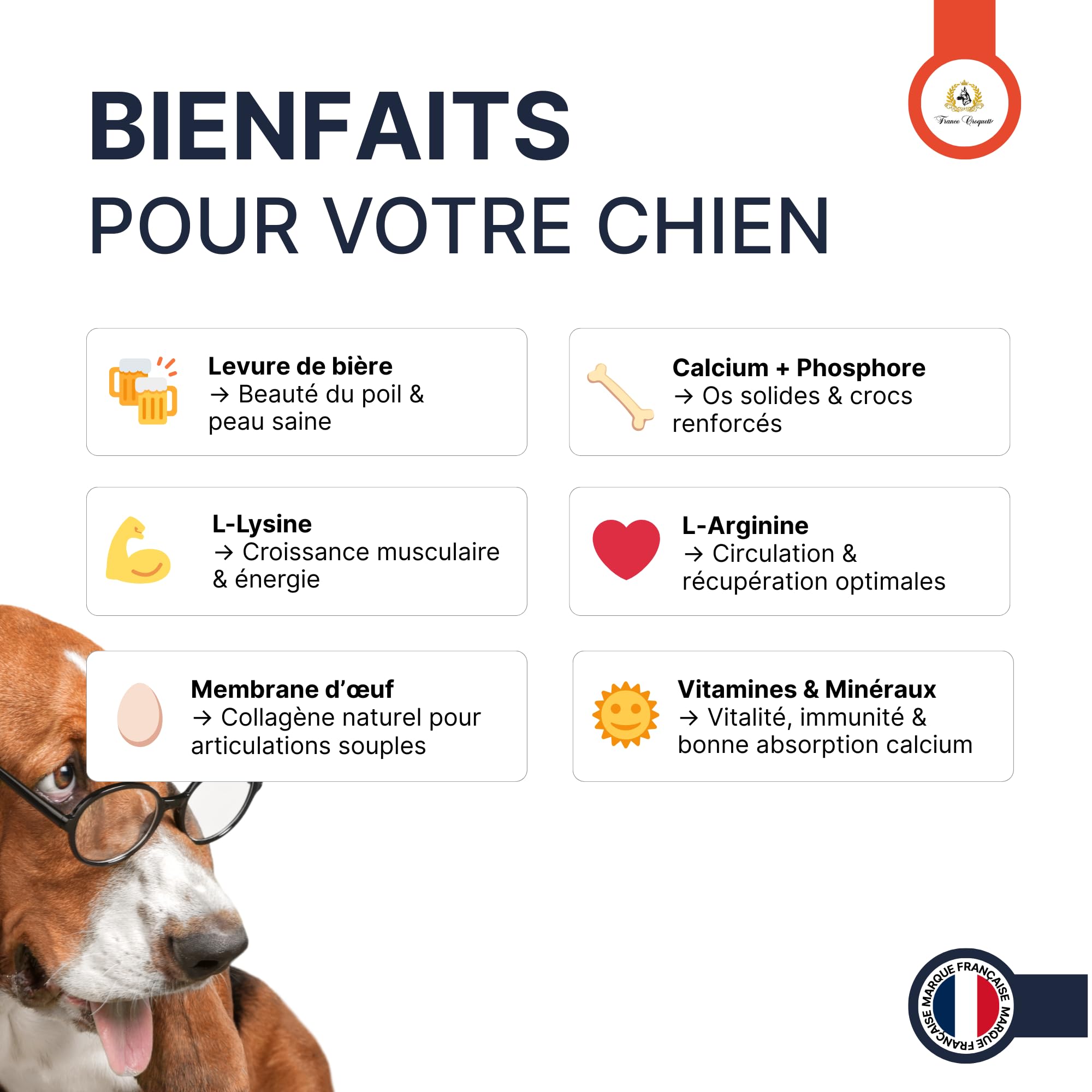 france-croquettes-ost-ocynoline-calcium-poudre-chien-400g image 2