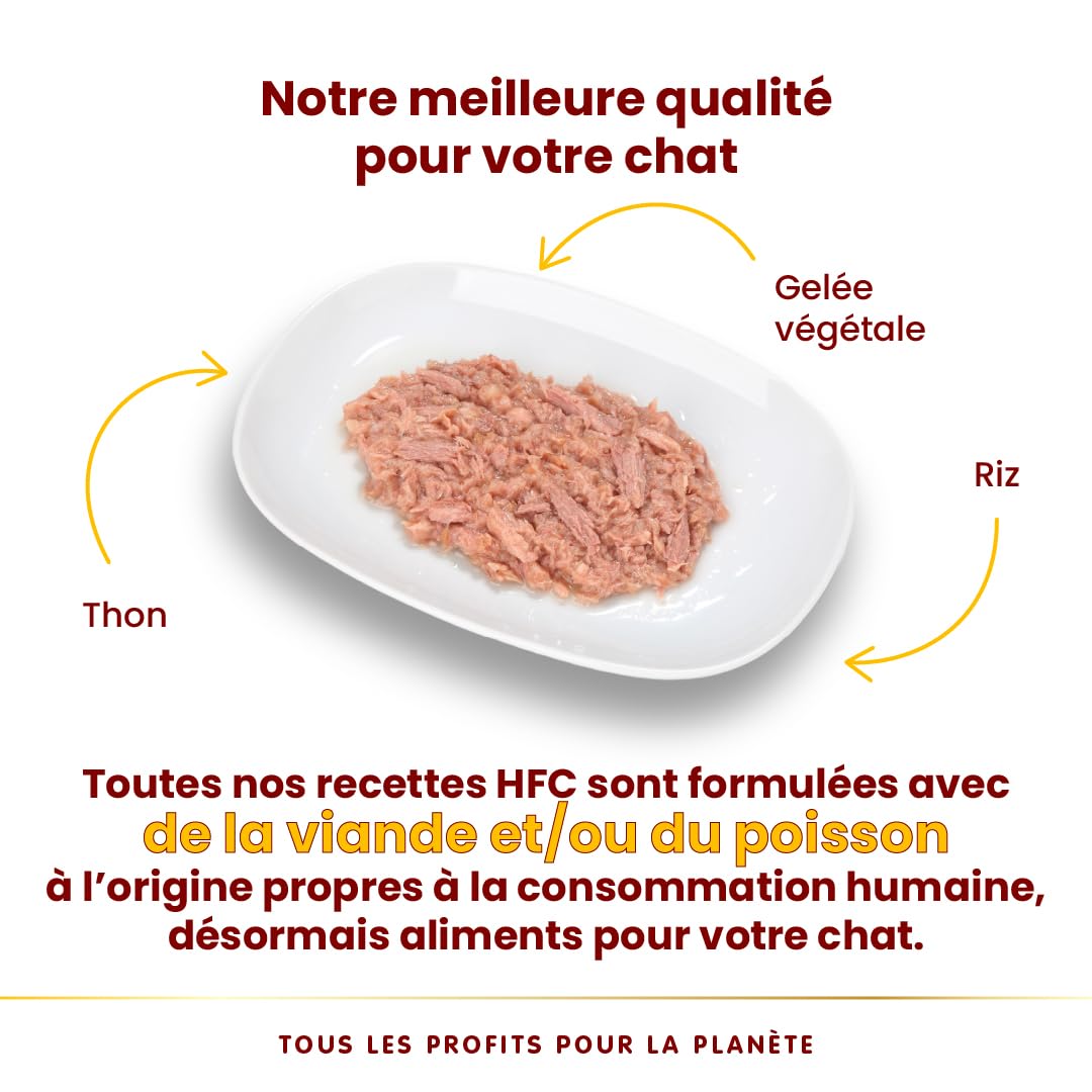 almo-nature-hfc-jelly-p-t-e-chat-thon-24x70g-monoprot-ine image 3