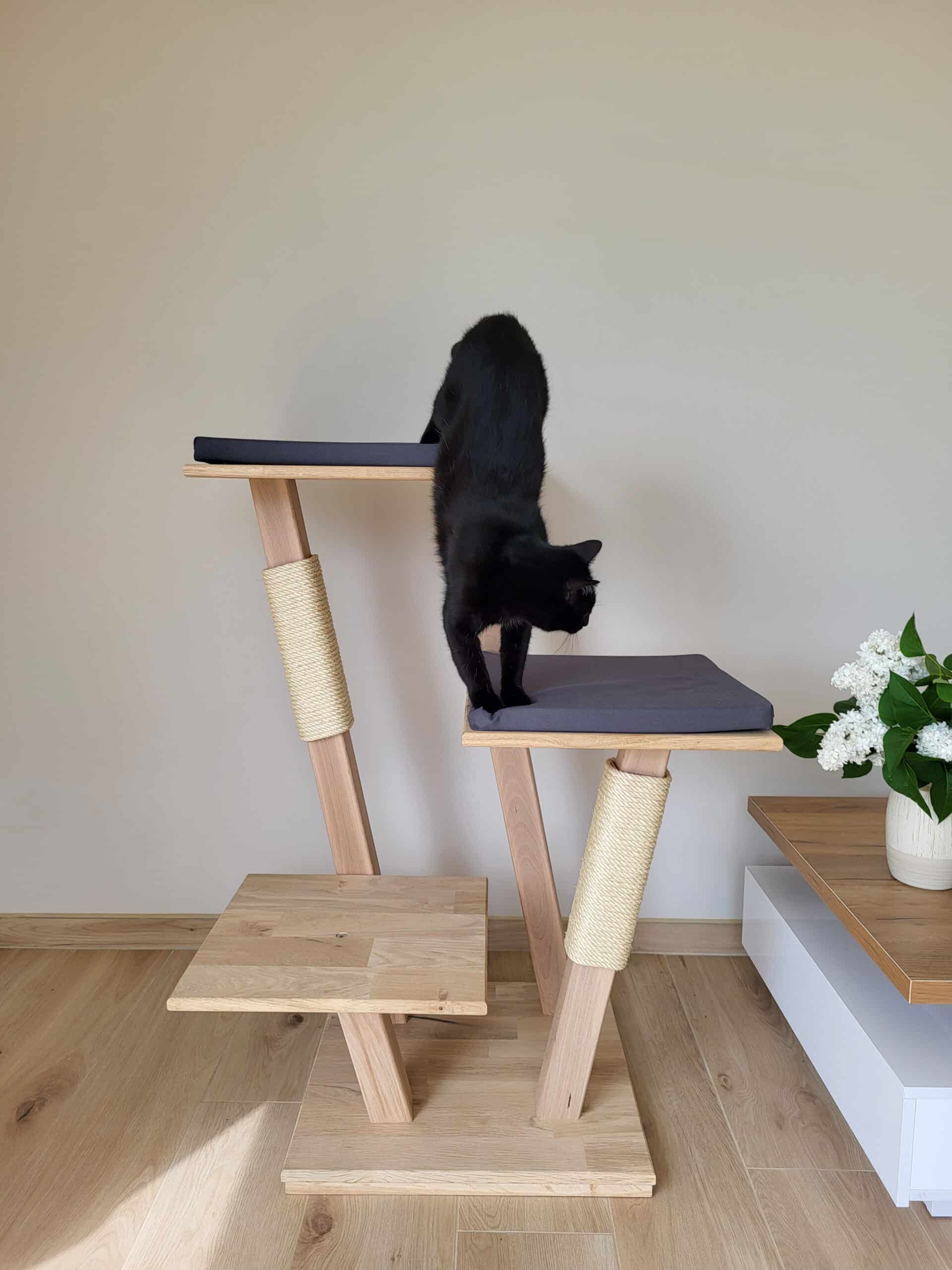 chat-perch-amaryllis-arbre-chat-bas-chat-g image 2