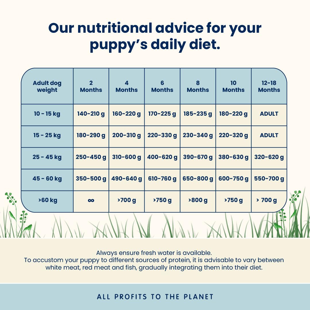 almo-nature-holistic-puppy-m-poulet-croquettes-chiot-12kg image 3