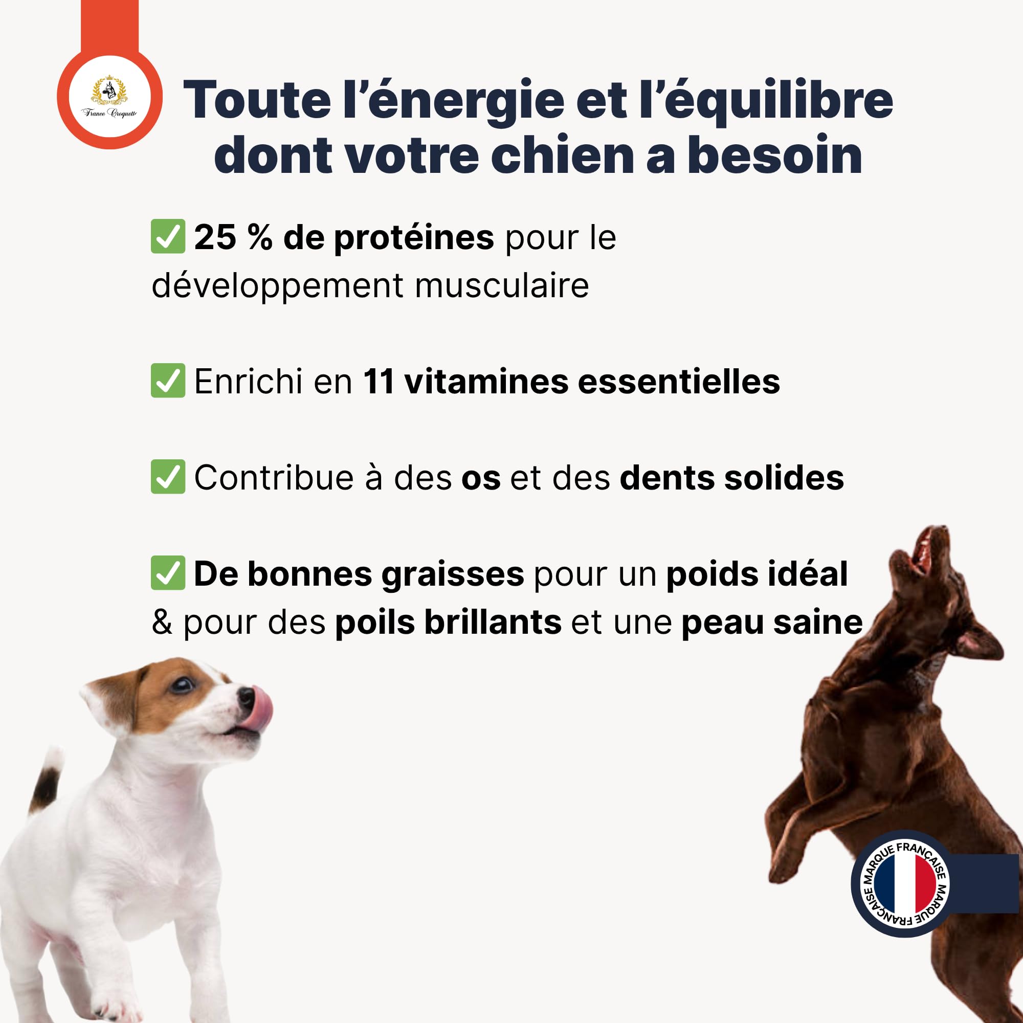 france-croquettes-equilibre-25-10-croquettes-chien-12-kg-adulte image 6